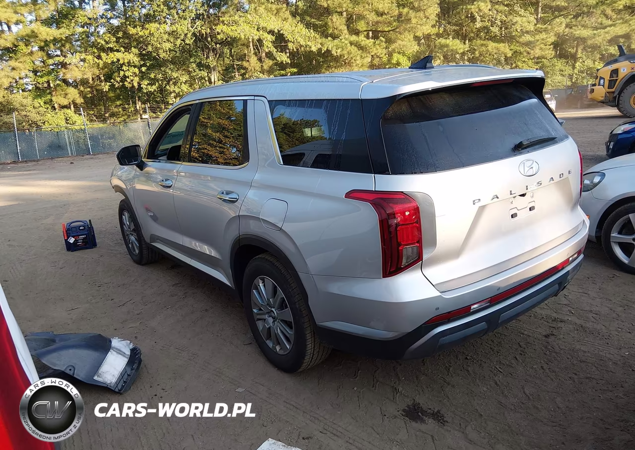 2025 Hyundai Palisade Sel VIN:KM8R24GE5SU952574 - 3