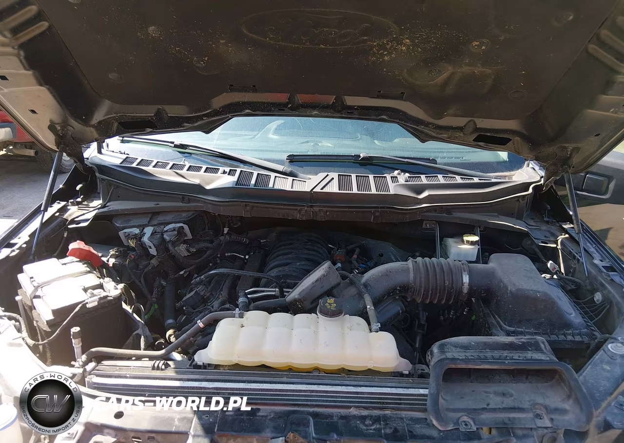 2023 Ford F-150 Xlt VIN:1FTFW1E58PKE78765 - 10