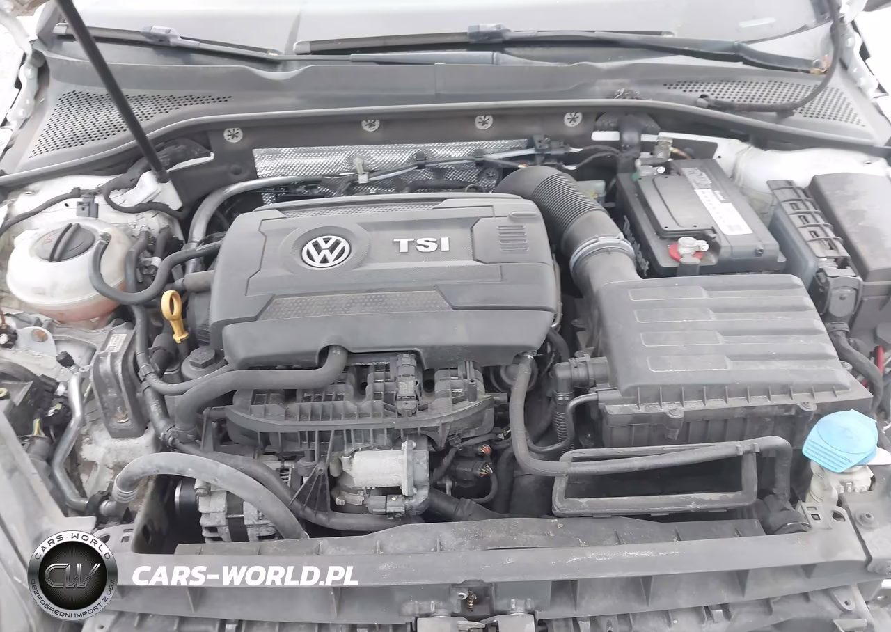 2017 Volkswagen Golf Sportwagen Tsi S-Tsi Se-Tsi Sel VIN:3VWC17AU7HM540178 - 10