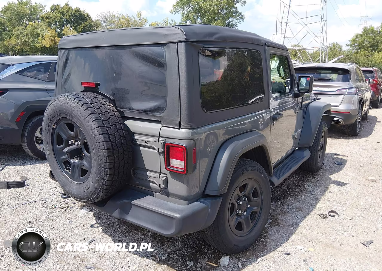 2020 Jeep Wrangler Sport 4X4 VIN:1C4GJXAN5LW145454 - 4