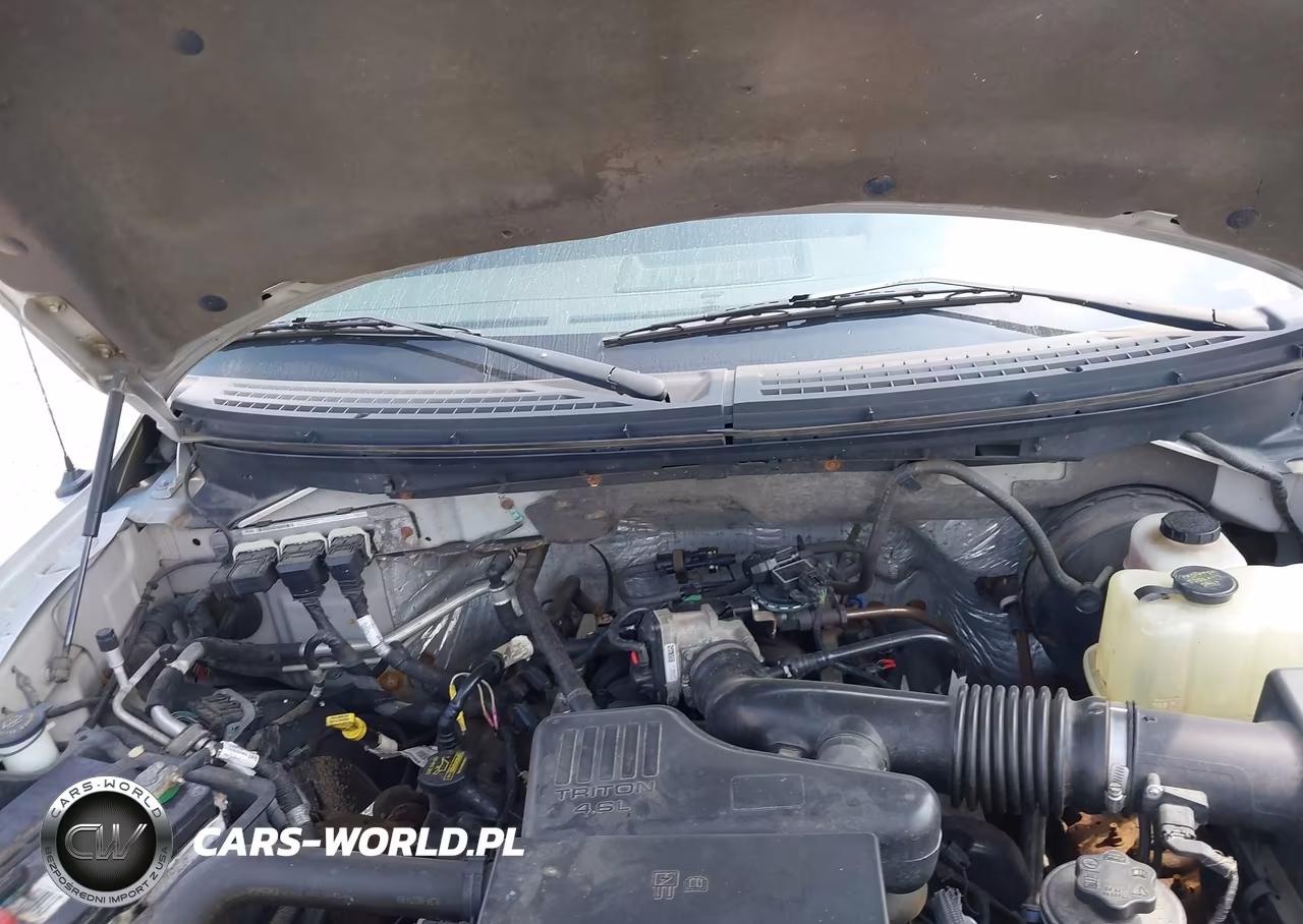 2009 Ford F-150 Stx-Xl-Xl W-Midbox Prep-Xlt-Xlt W-Midbox Prep VIN:1FTRF12W09KC51731 - 10
