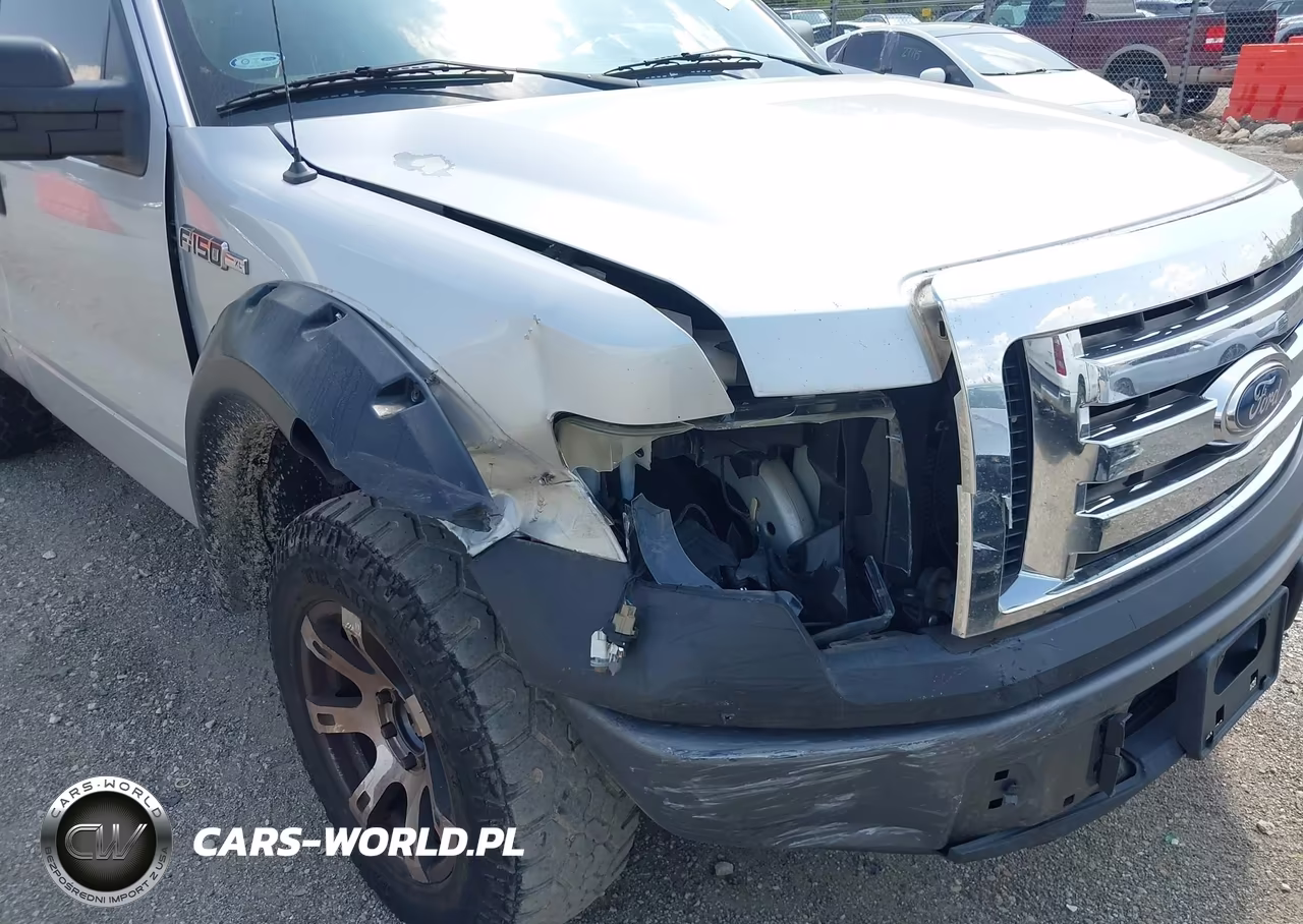 2009 Ford F-150 Stx-Xl-Xl W-Midbox Prep-Xlt-Xlt W-Midbox Prep VIN:1FTRF12W09KC51731 - 6