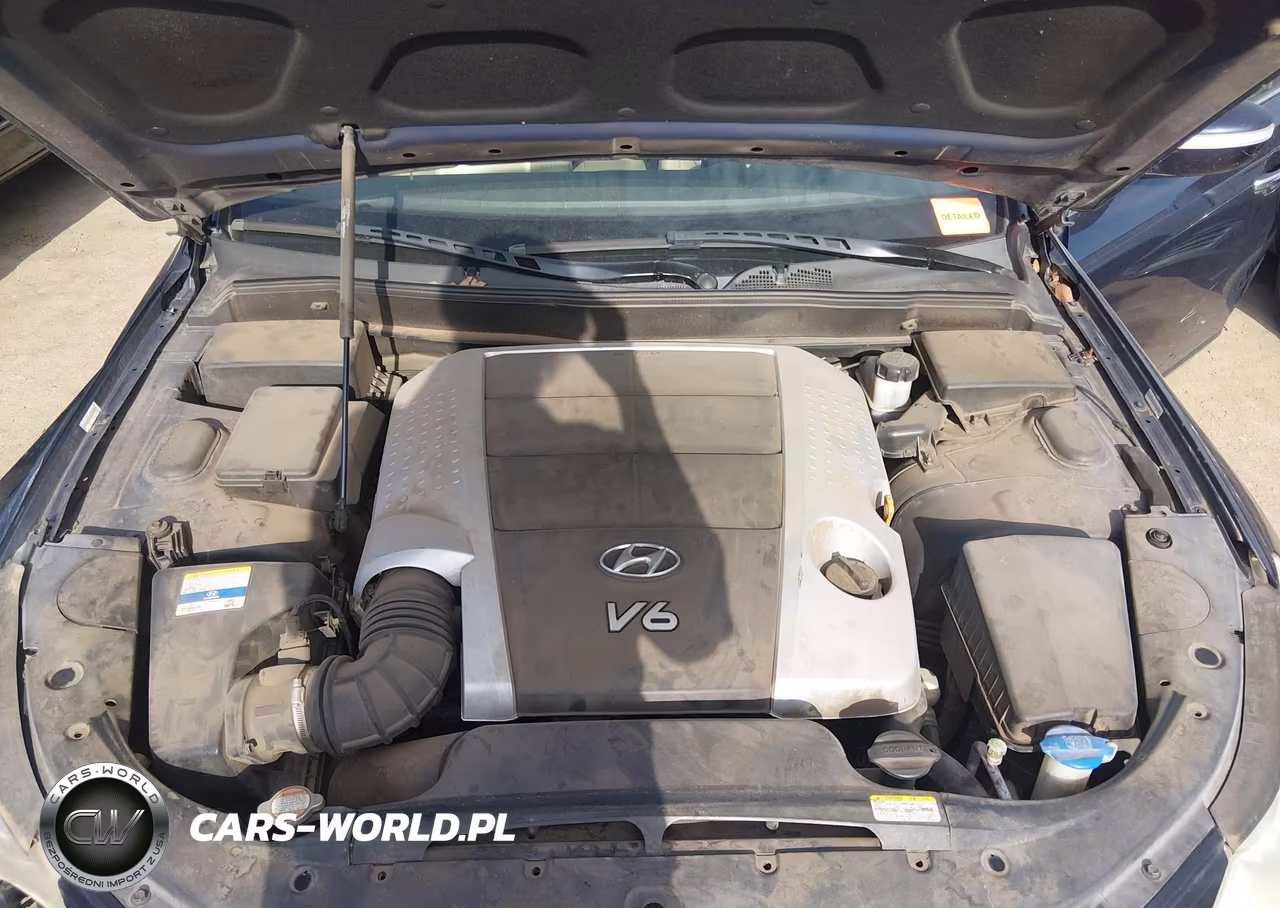 2011 Hyundai Genesis 3.8 VIN:KMHGC4DE0BU122674 - 10