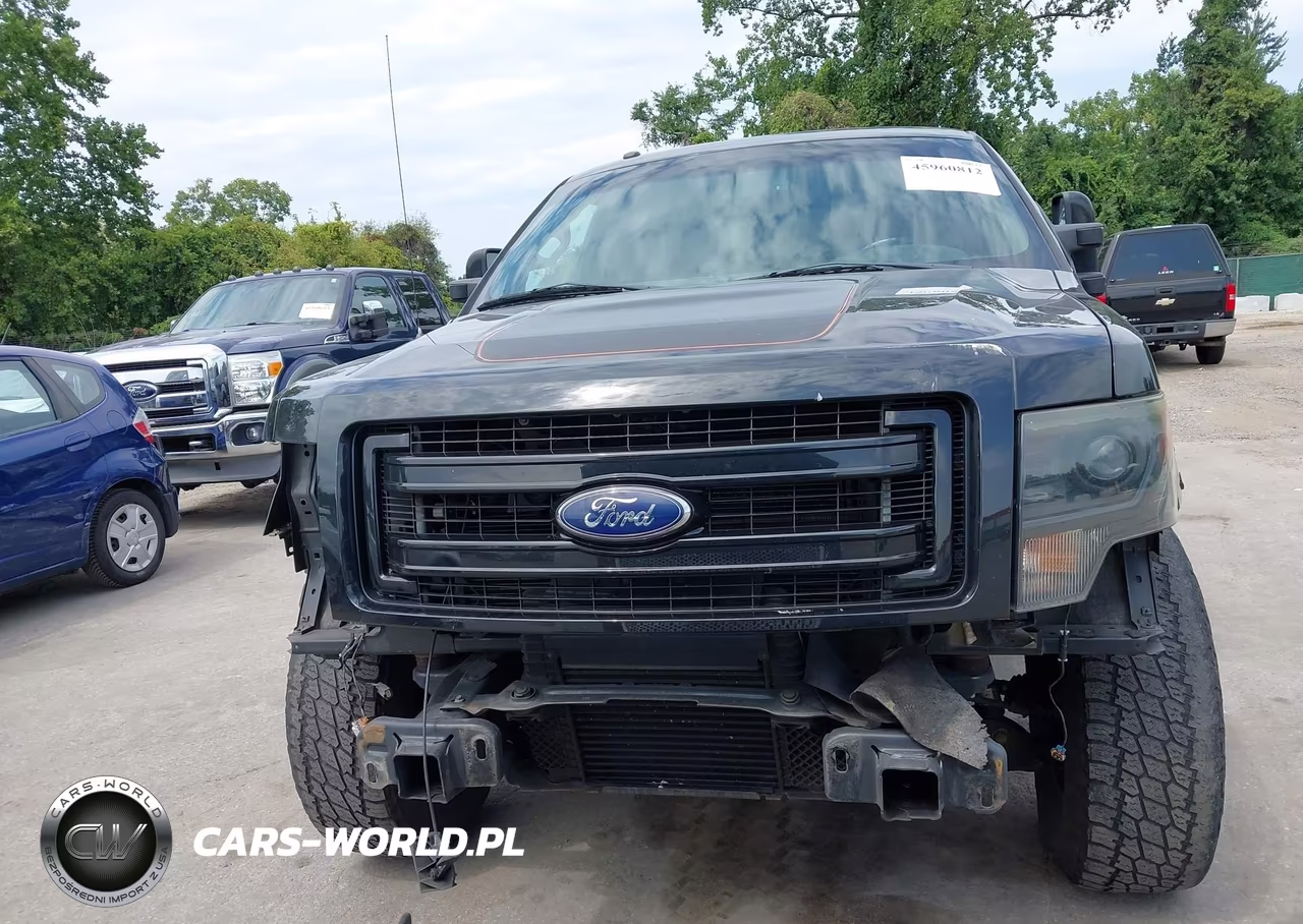 2013 Ford F-150 Fx4 VIN:1FTFX1ET2DFD49064 - 13