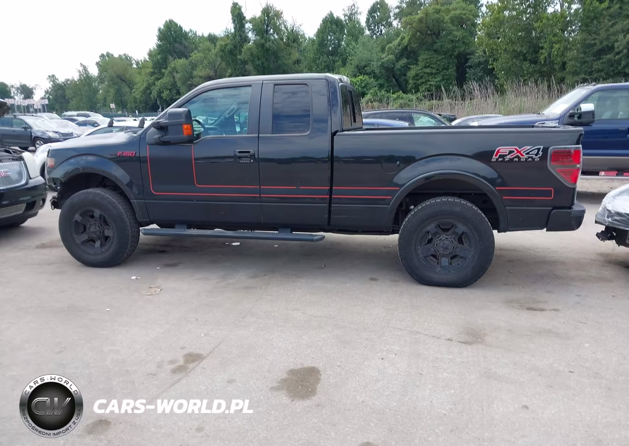 2013 Ford F-150 Fx4 VIN:1FTFX1ET2DFD49064 - 15