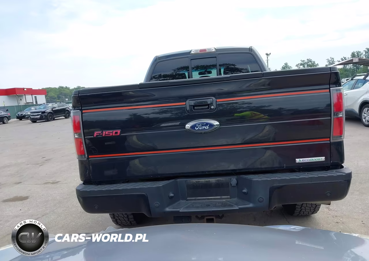2013 Ford F-150 Fx4 VIN:1FTFX1ET2DFD49064 - 17
