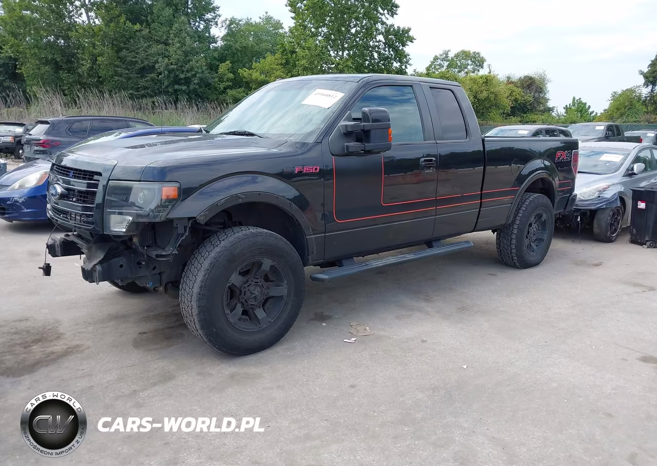 2013 Ford F-150 Fx4 VIN:1FTFX1ET2DFD49064 - 2