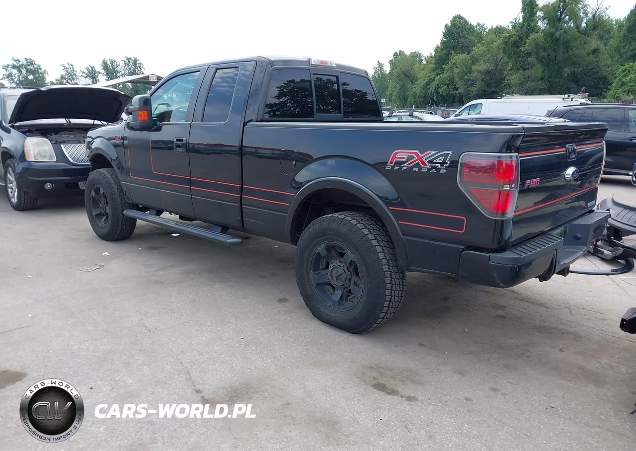 2013 Ford F-150 Fx4 VIN:1FTFX1ET2DFD49064 - 3