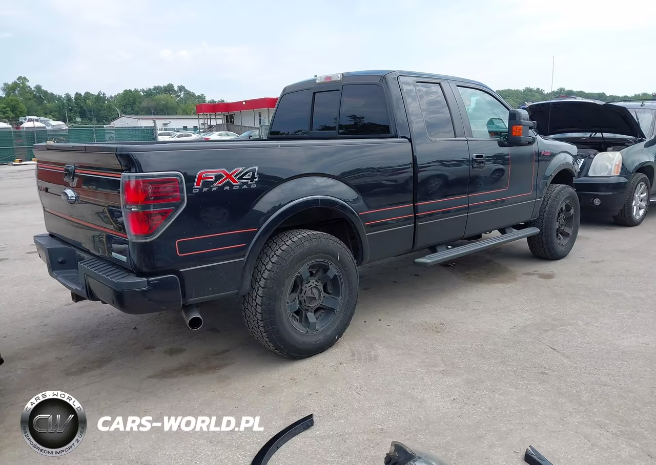 2013 Ford F-150 Fx4 VIN:1FTFX1ET2DFD49064 - 4