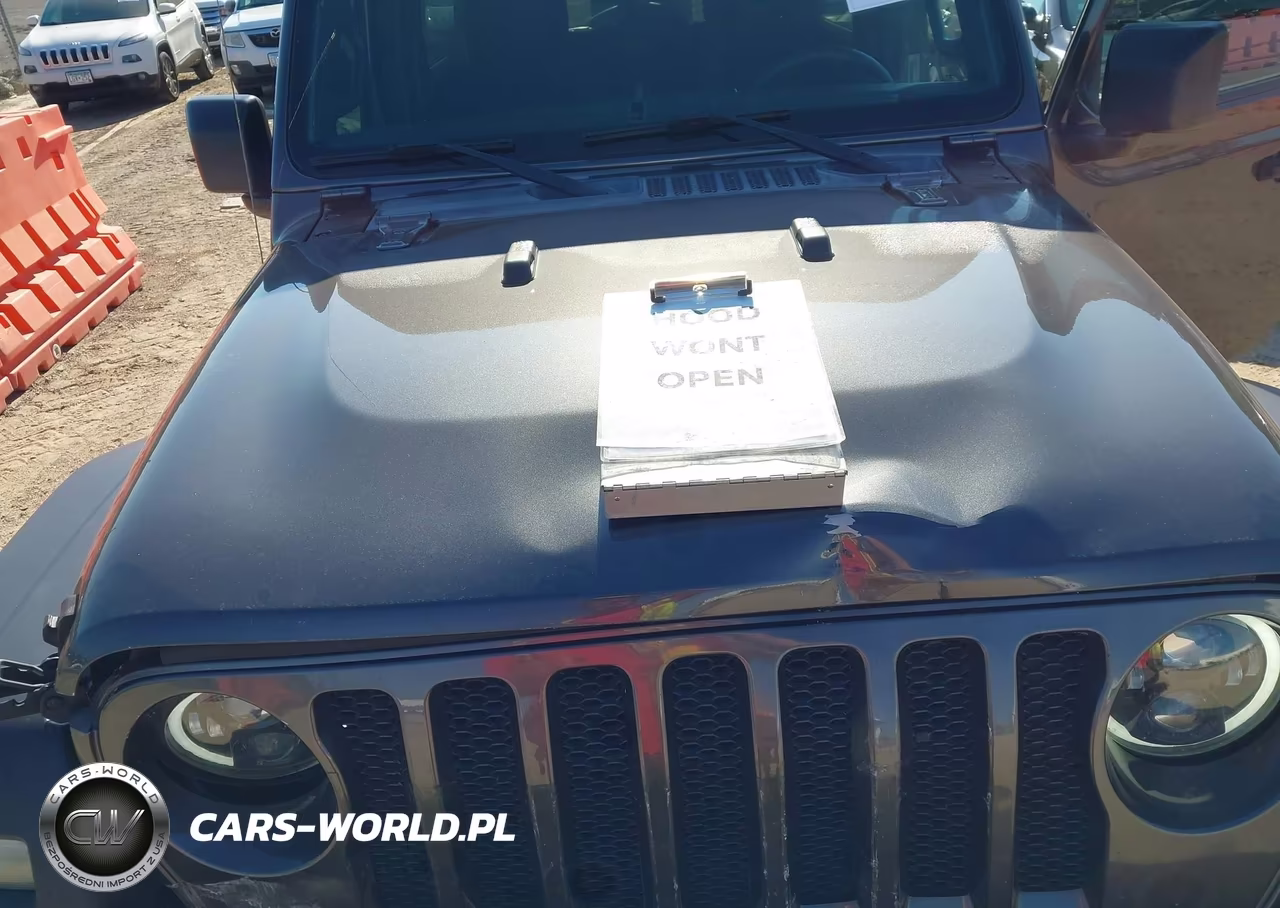 2019 Jeep Wrangler Unlimited Sport S 4X4 VIN:1C4HJXDGXKW666878 - 10