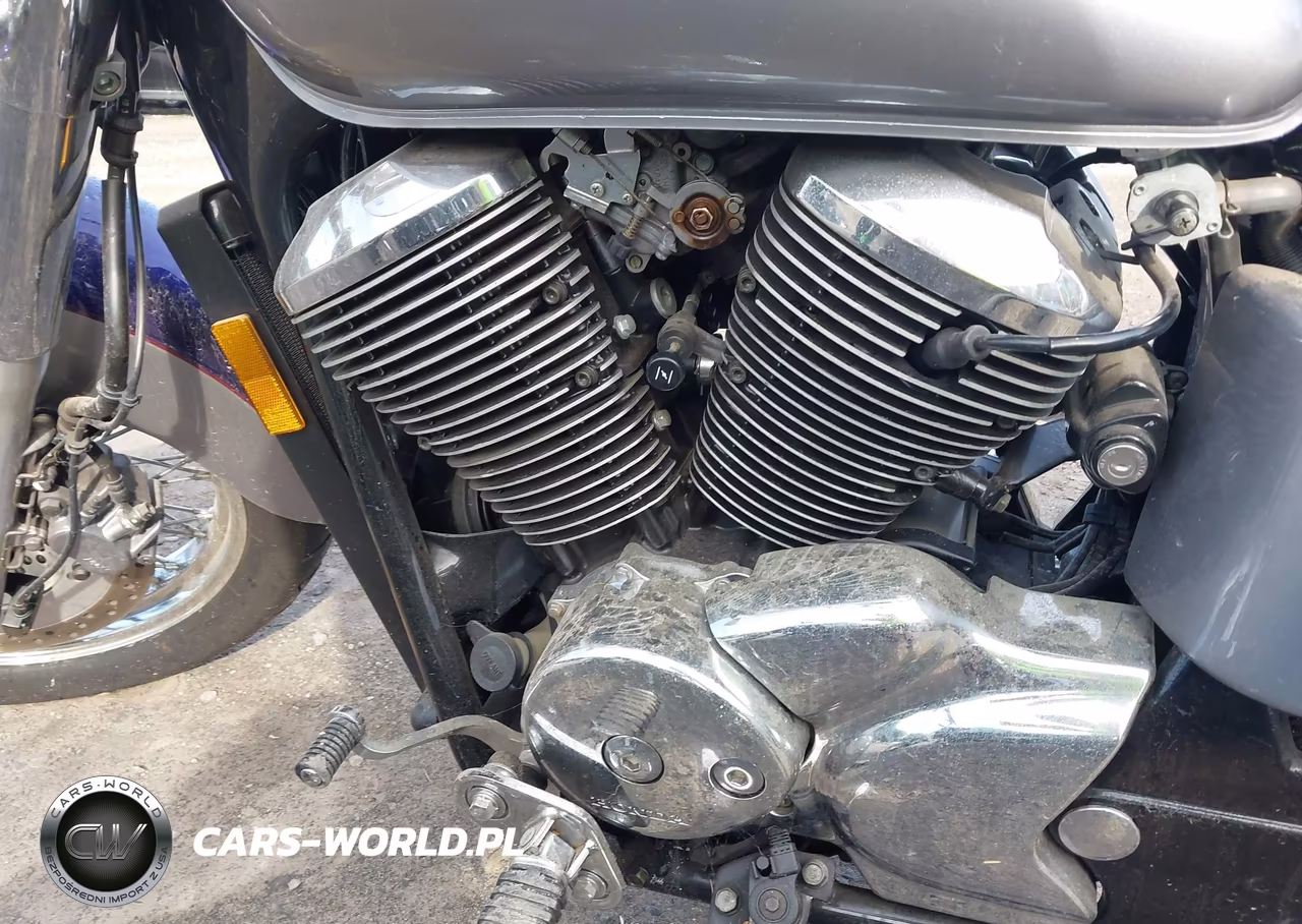 2002 Honda Vt750 Cdc VIN:JH2RC44602M611301 - 9