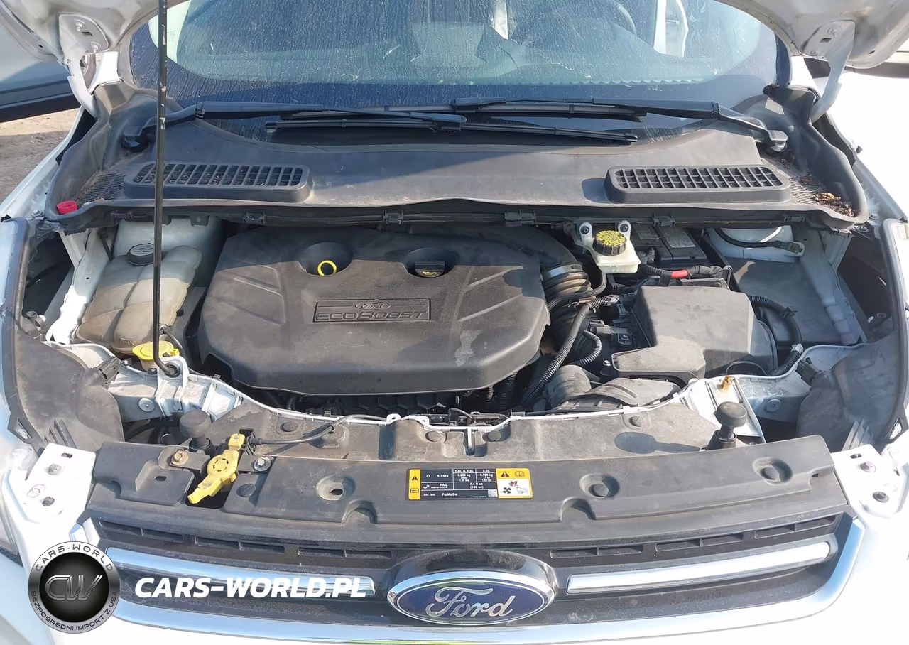 2013 Ford Escape Sel VIN:1FMCU0H9XDUD05097 - 10
