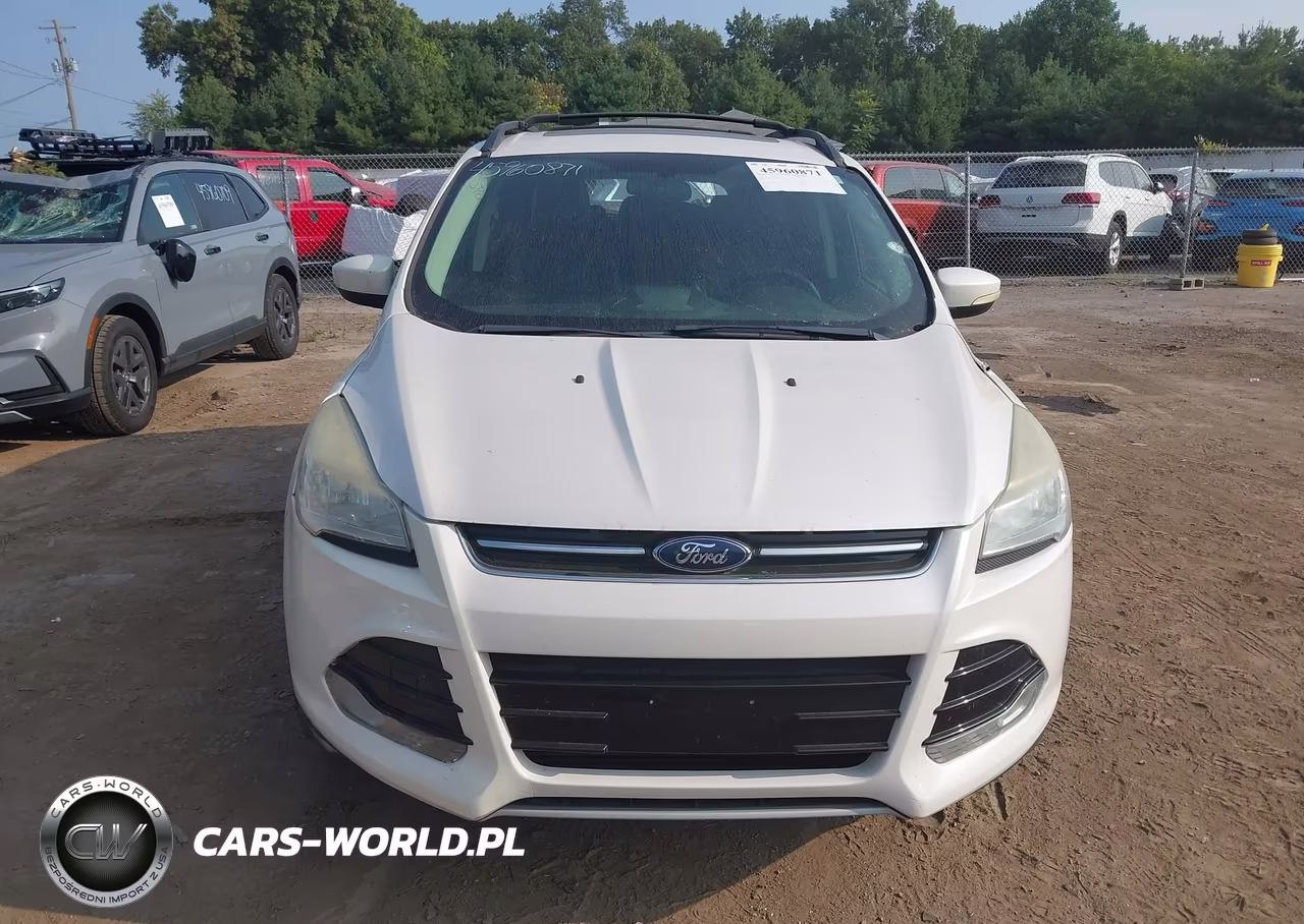 2013 Ford Escape Sel VIN:1FMCU0H9XDUD05097 - 12