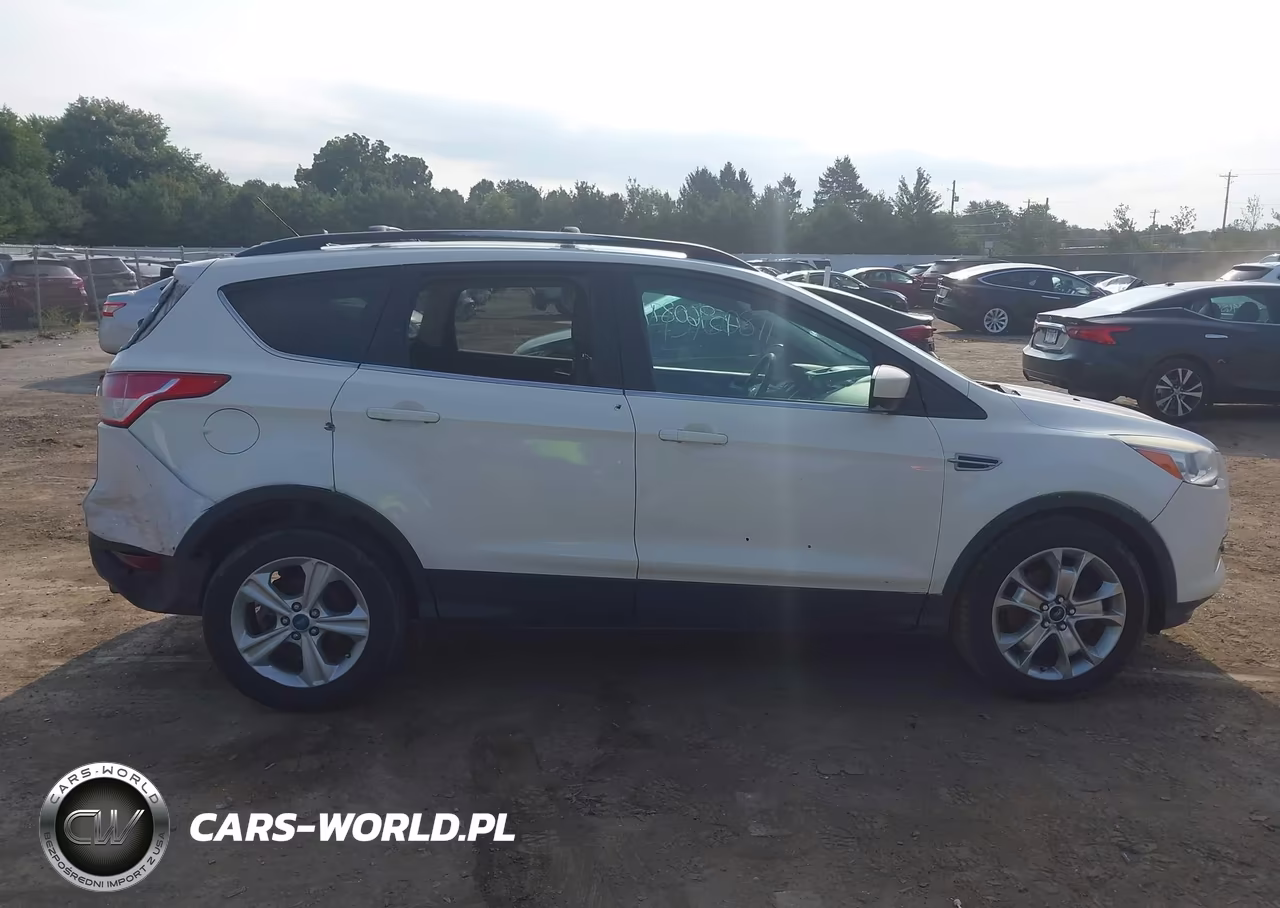 2013 Ford Escape Sel VIN:1FMCU0H9XDUD05097 - 13