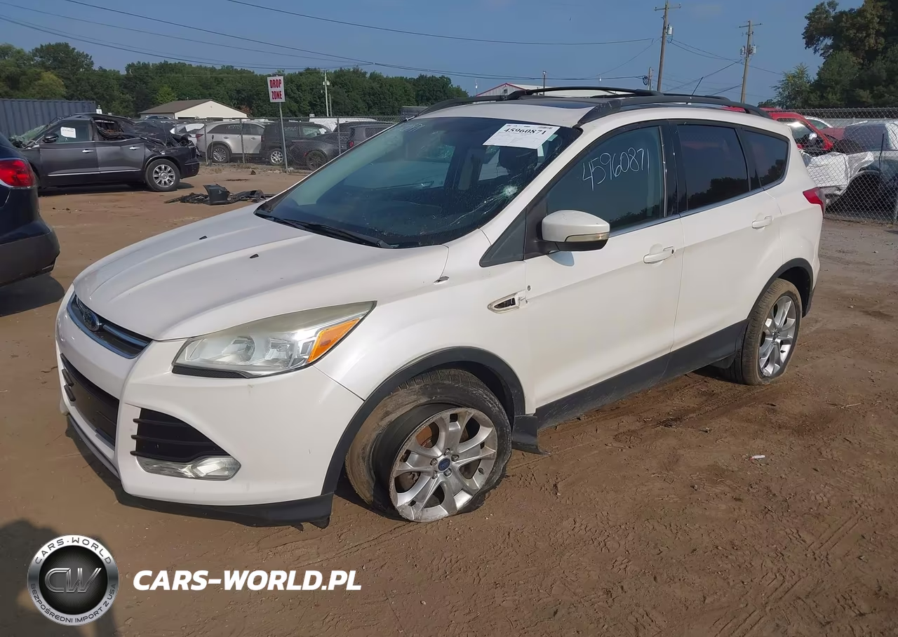 2013 Ford Escape Sel VIN:1FMCU0H9XDUD05097 - 2