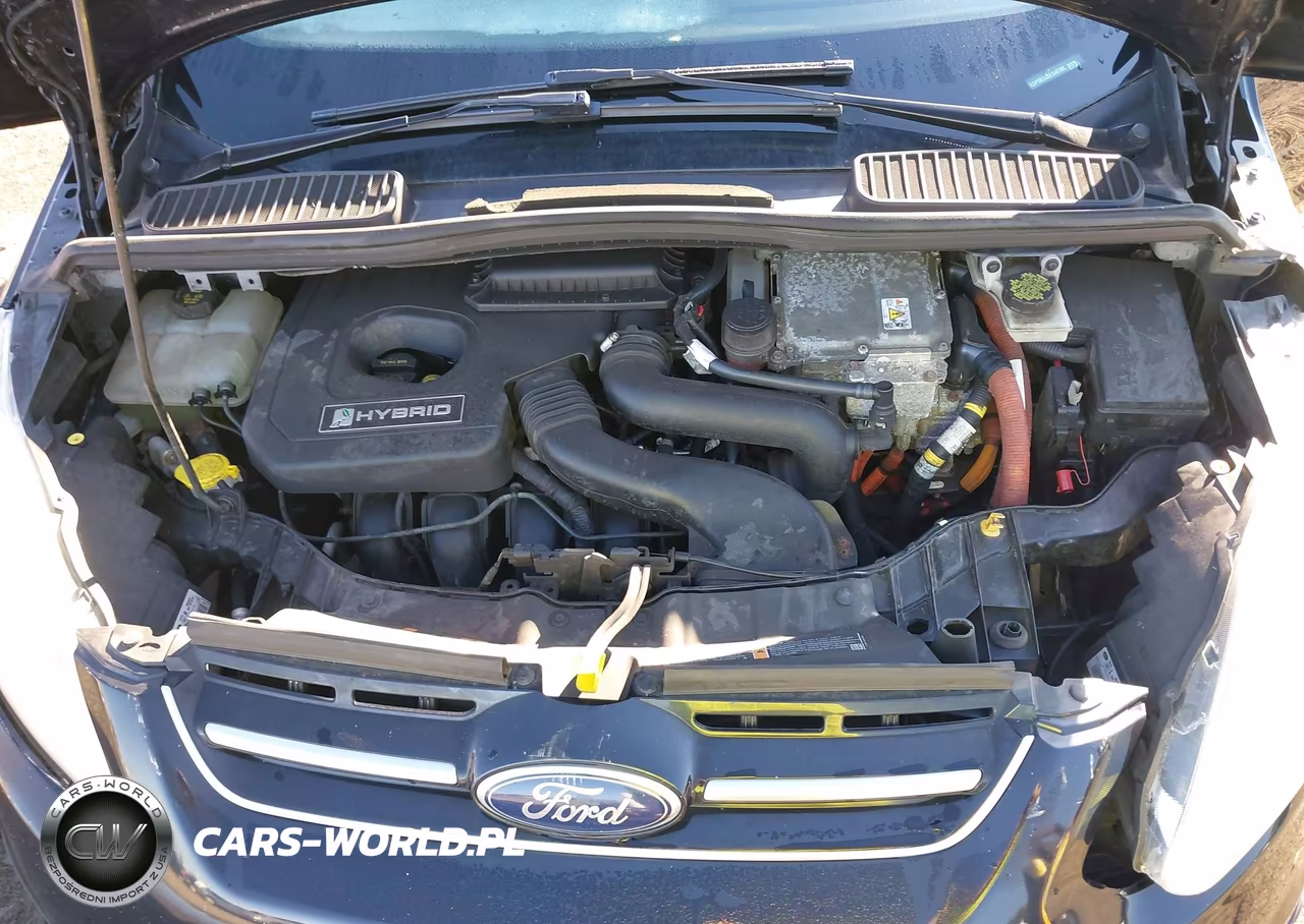 2013 Ford C-Max Hybrid Sel VIN:1FADP5BU5DL548788 - 10