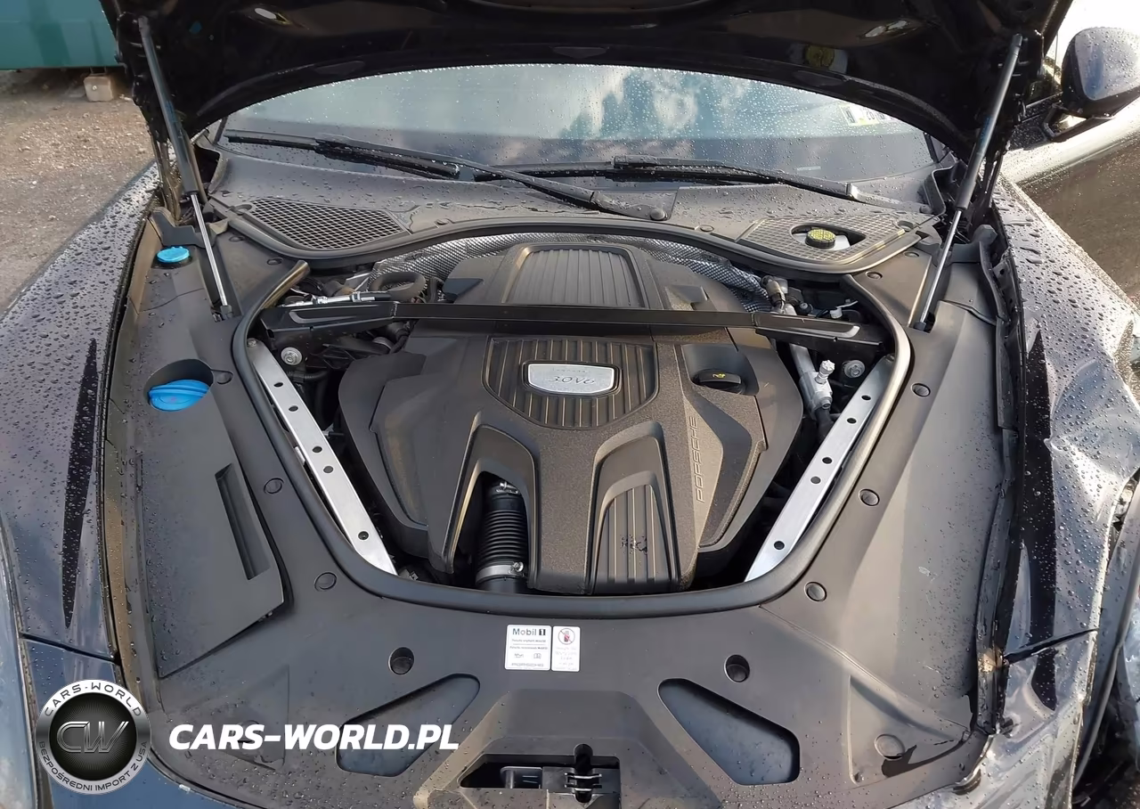 2018 Porsche Panamera 4 VIN:WP0AA2A79JL110036 - 10