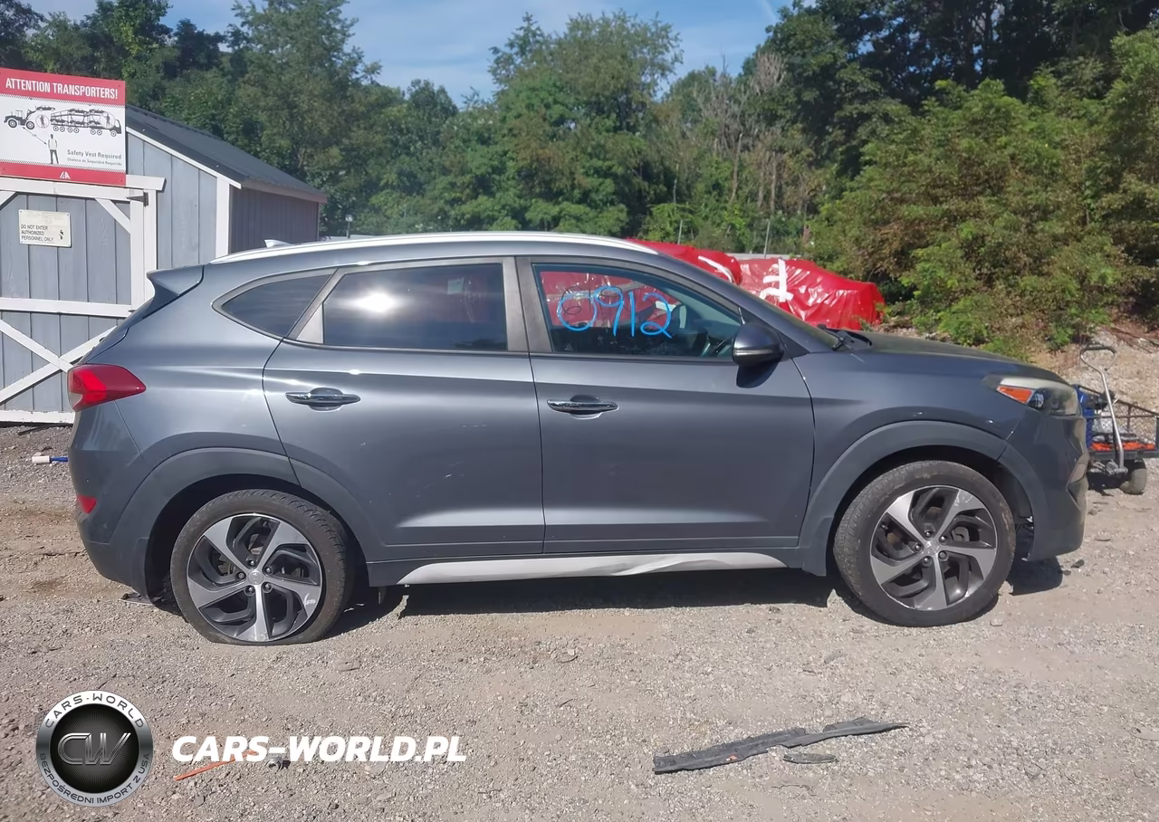 2017 Hyundai Tucson Limited VIN:KM8J3CA27HU393993 - 13