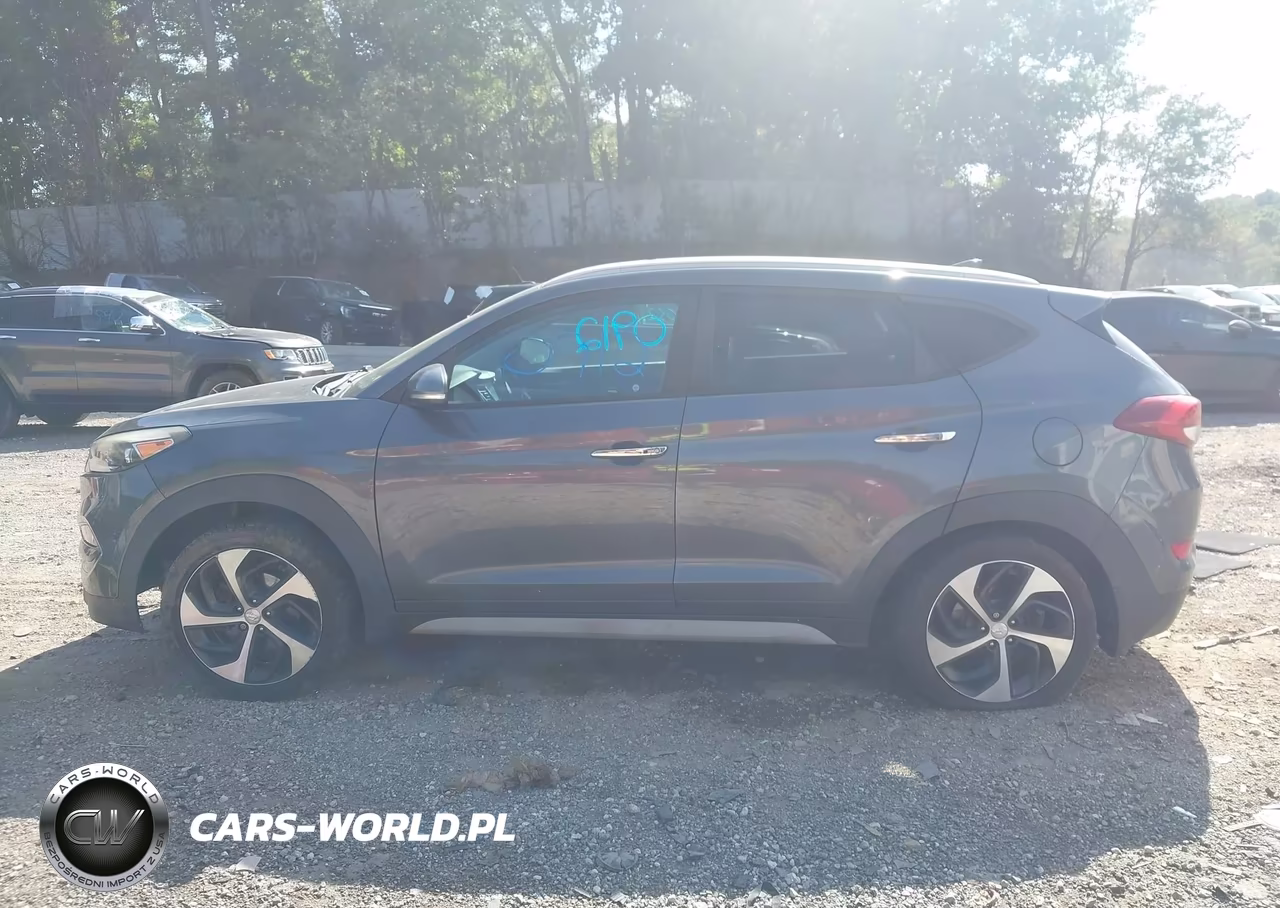2017 Hyundai Tucson Limited VIN:KM8J3CA27HU393993 - 14