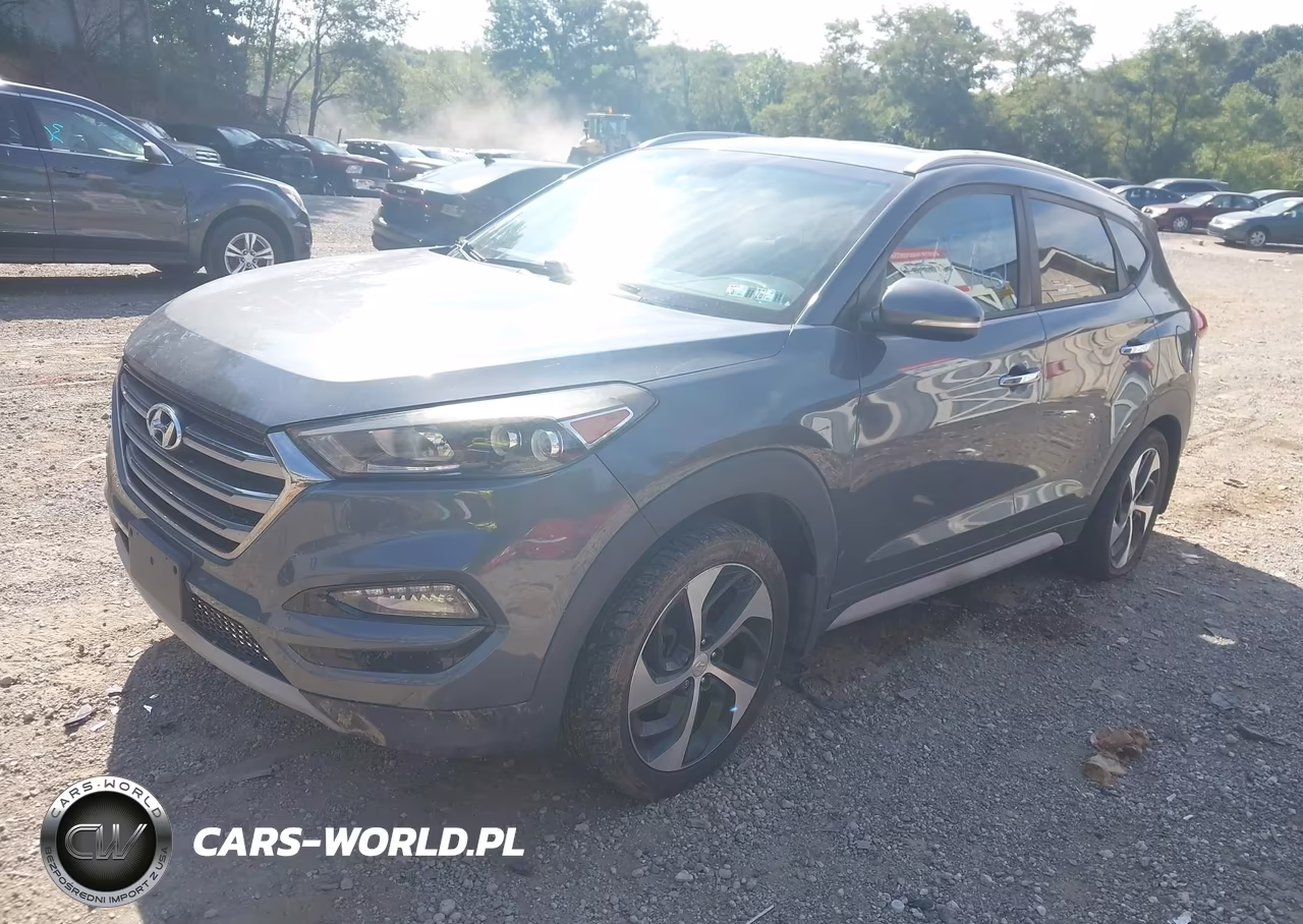 2017 Hyundai Tucson Limited VIN:KM8J3CA27HU393993 - 2