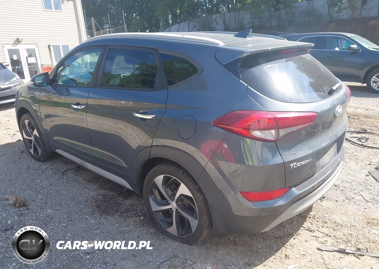 2017 Hyundai Tucson Limited VIN:KM8J3CA27HU393993 - 3