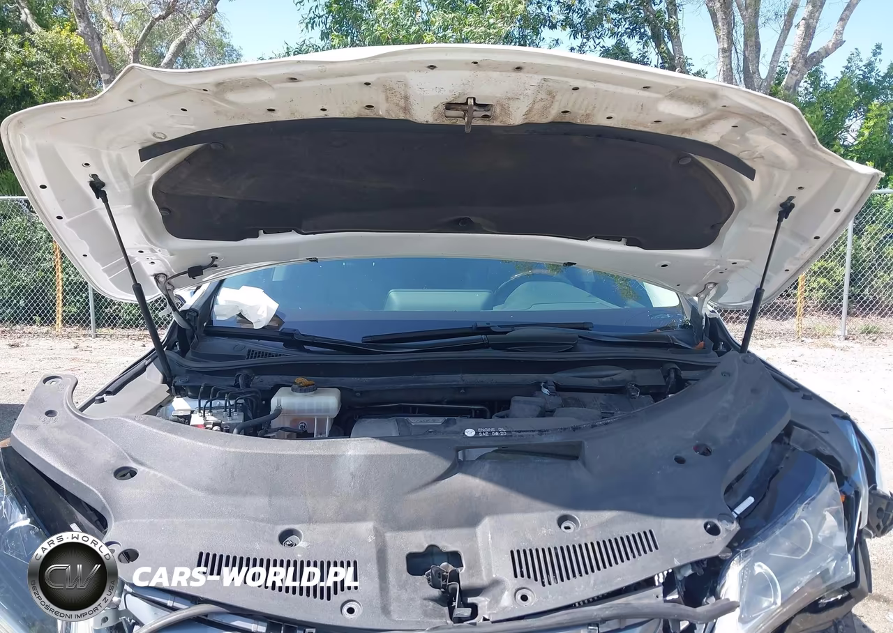 2019 Lexus Rx 450Hl Premium VIN:JTJDGKCA6K2007178 - 10