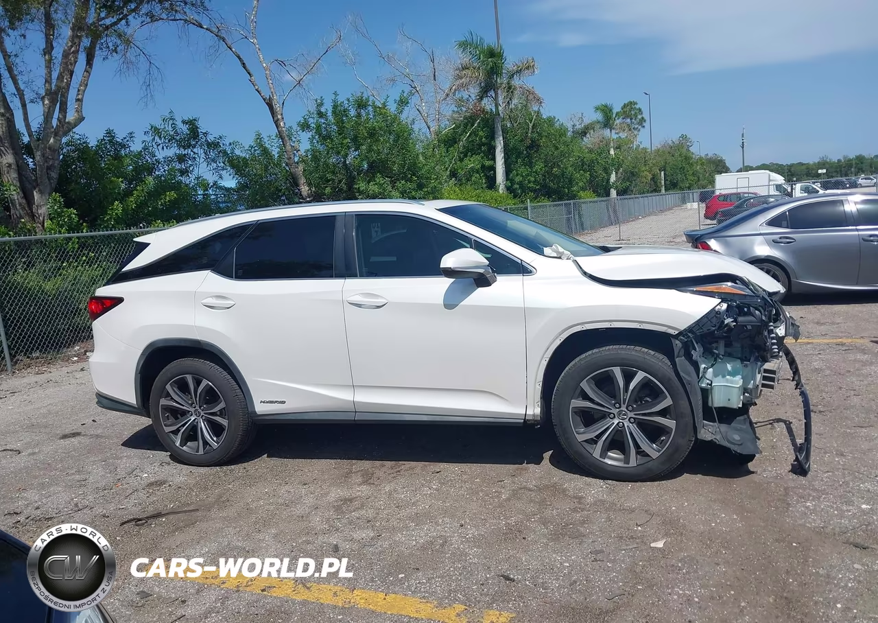 2019 Lexus Rx 450Hl Premium VIN:JTJDGKCA6K2007178 - 13