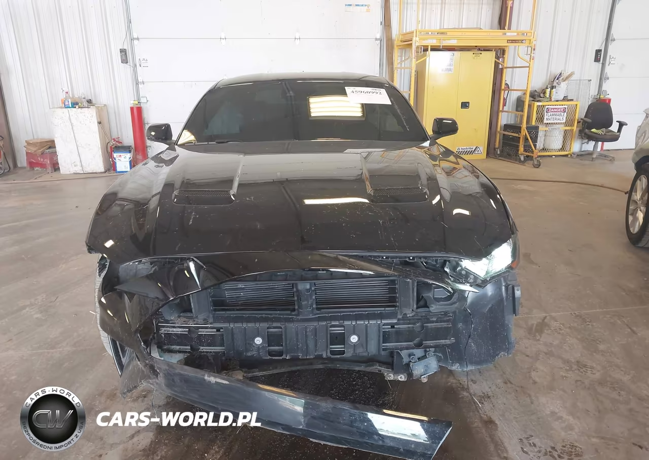 2021 Ford Mustang Gt Premium Fastback VIN:1FA6P8CF7M5134801 - 12