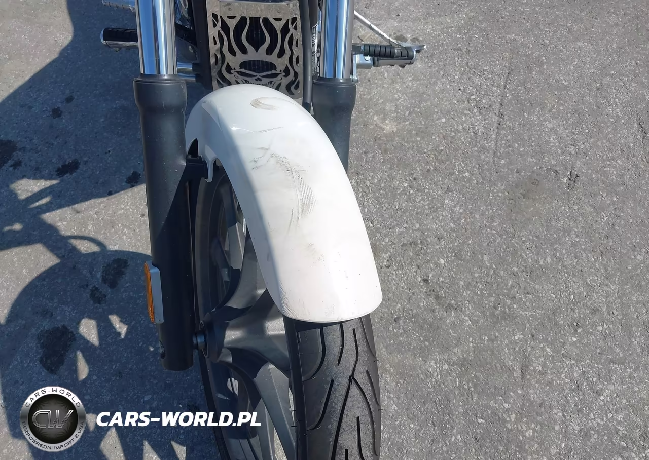 2011 Honda Vt1300 Cx VIN:JH2SC6147BK000189 - 15
