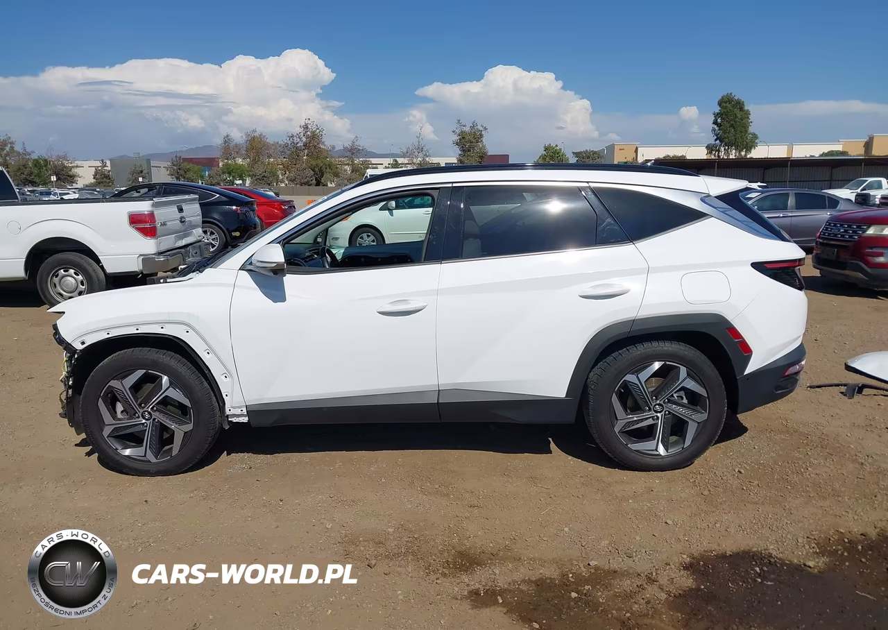 2024 Hyundai Tucson Limited VIN:5NMJE3DE3RH347204 - 15