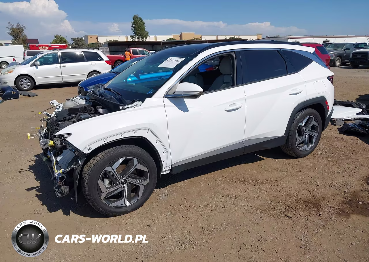 2024 Hyundai Tucson Limited VIN:5NMJE3DE3RH347204 - 2