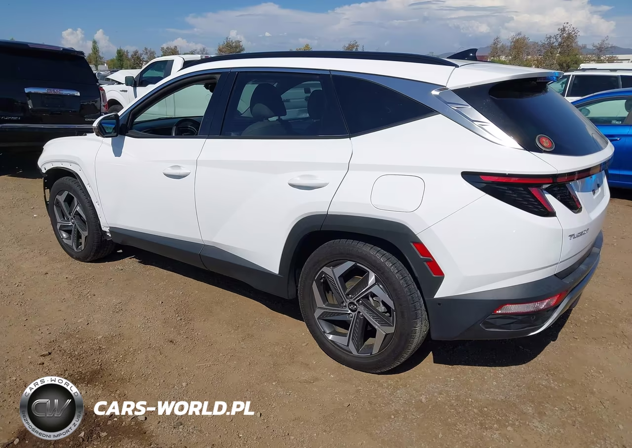 2024 Hyundai Tucson Limited VIN:5NMJE3DE3RH347204 - 3