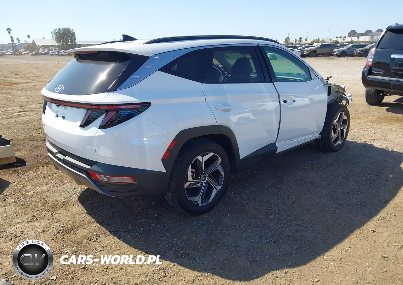 2024 Hyundai Tucson Limited VIN:5NMJE3DE3RH347204 - 4