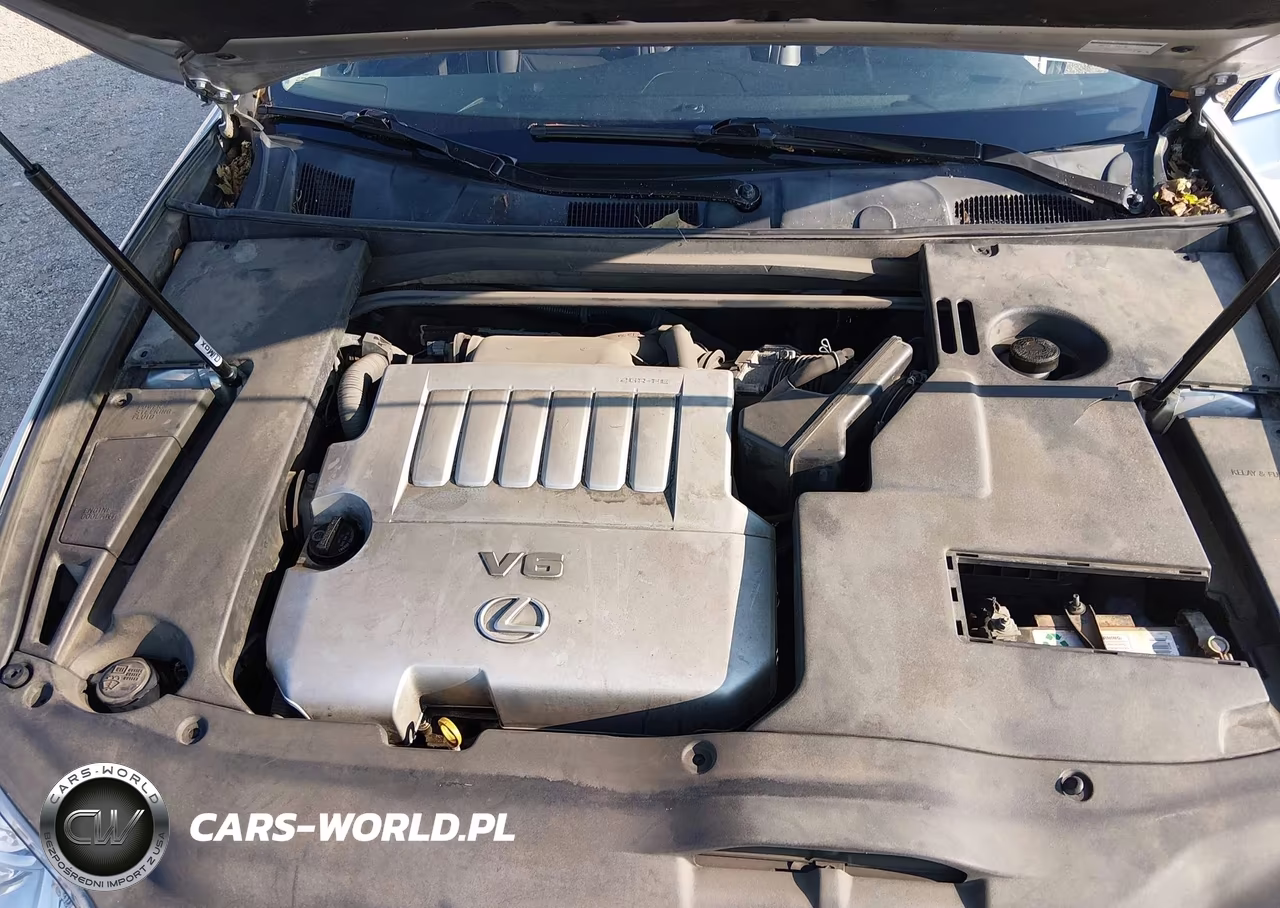 2007 Lexus Es 350 VIN:JTHBJ46G172078902 - 10
