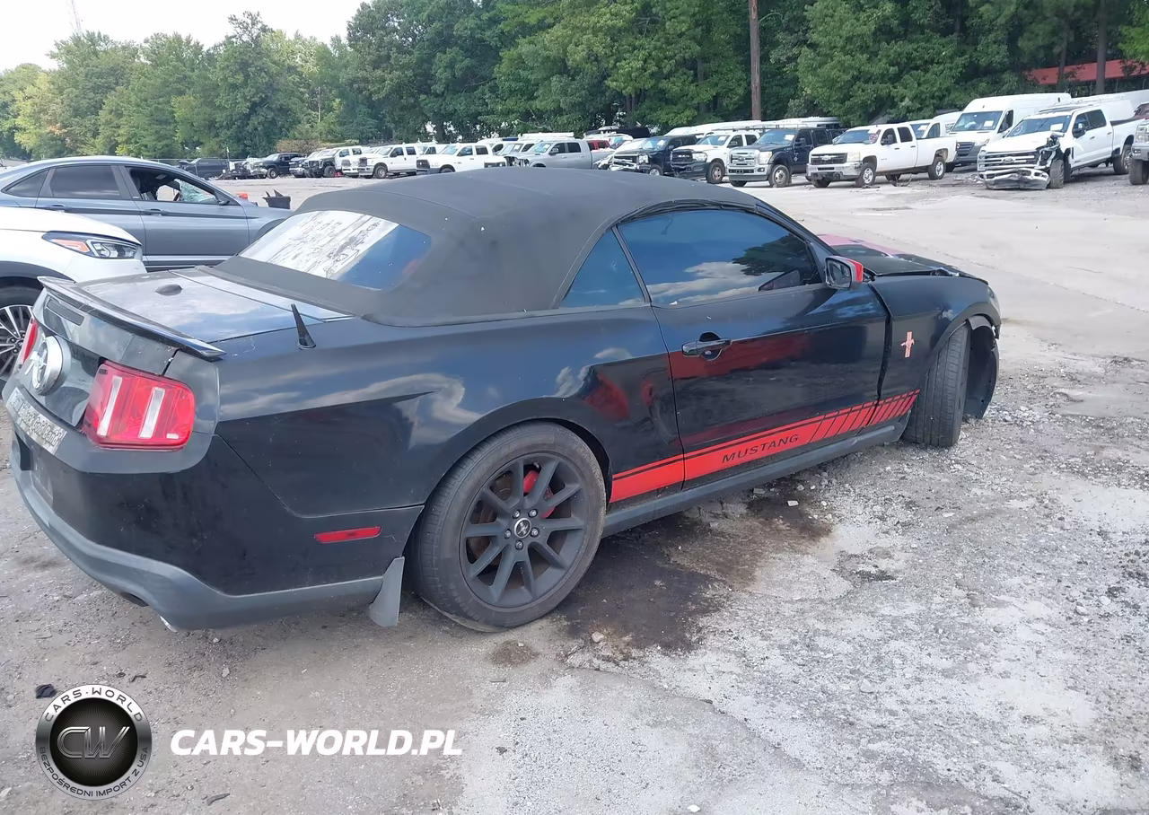 2011 Ford Mustang V6 Premium VIN:1ZVBP8EM6B5141172 - 4