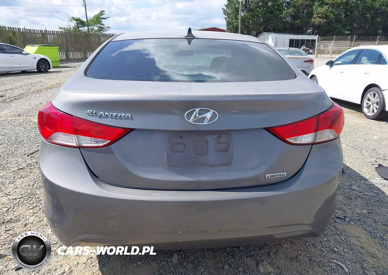 2013 Hyundai Elantra Limited VIN:KMHDH4AEXDU562445 - 17