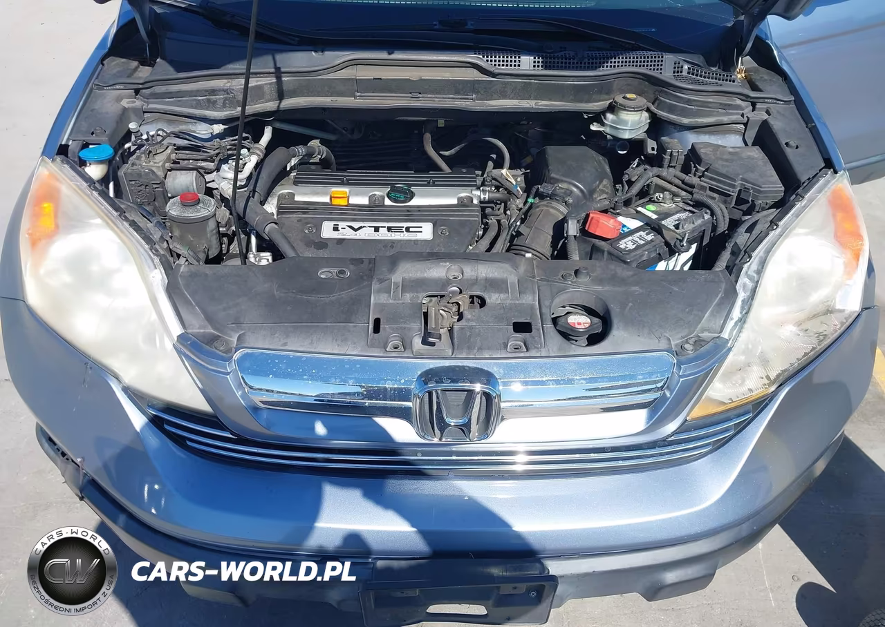 2009 Honda Cr-V Ex-L VIN:JHLRE48789C020237 - 10