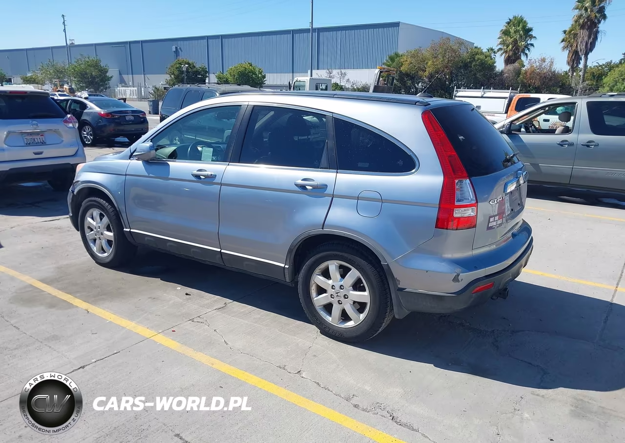 2009 Honda Cr-V Ex-L VIN:JHLRE48789C020237 - 3