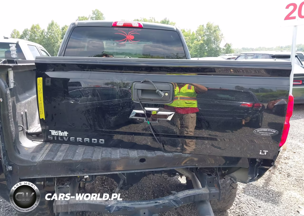 2018 Chevrolet Silverado 1500 2Lt VIN:3GCUKRECXJG300192 - 18