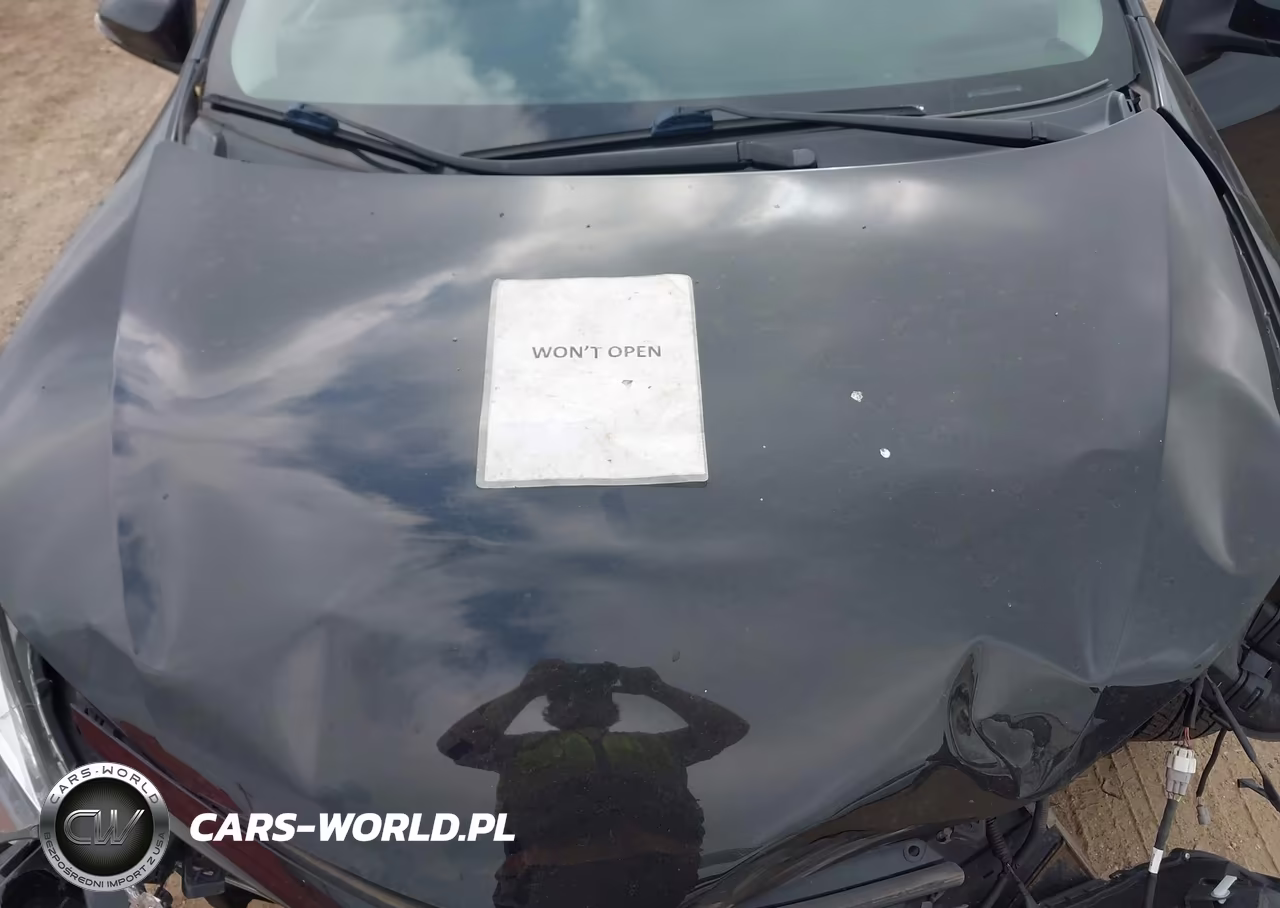 2019 Toyota Corolla Se VIN:2T1BURHE0KC136087 - 10