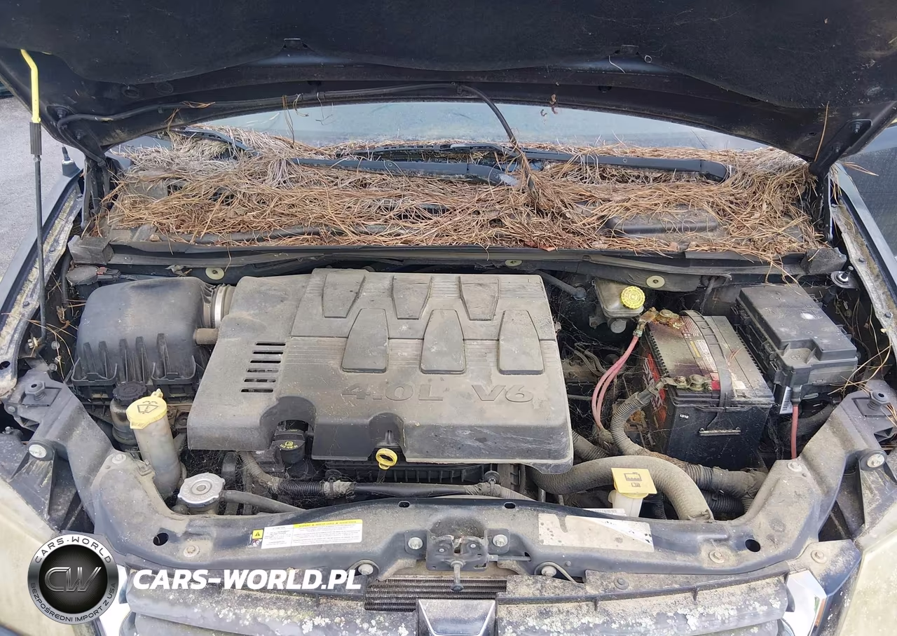 2008 Dodge Grand Caravan Sxt VIN:2D8HN54XX8R670277 - 10