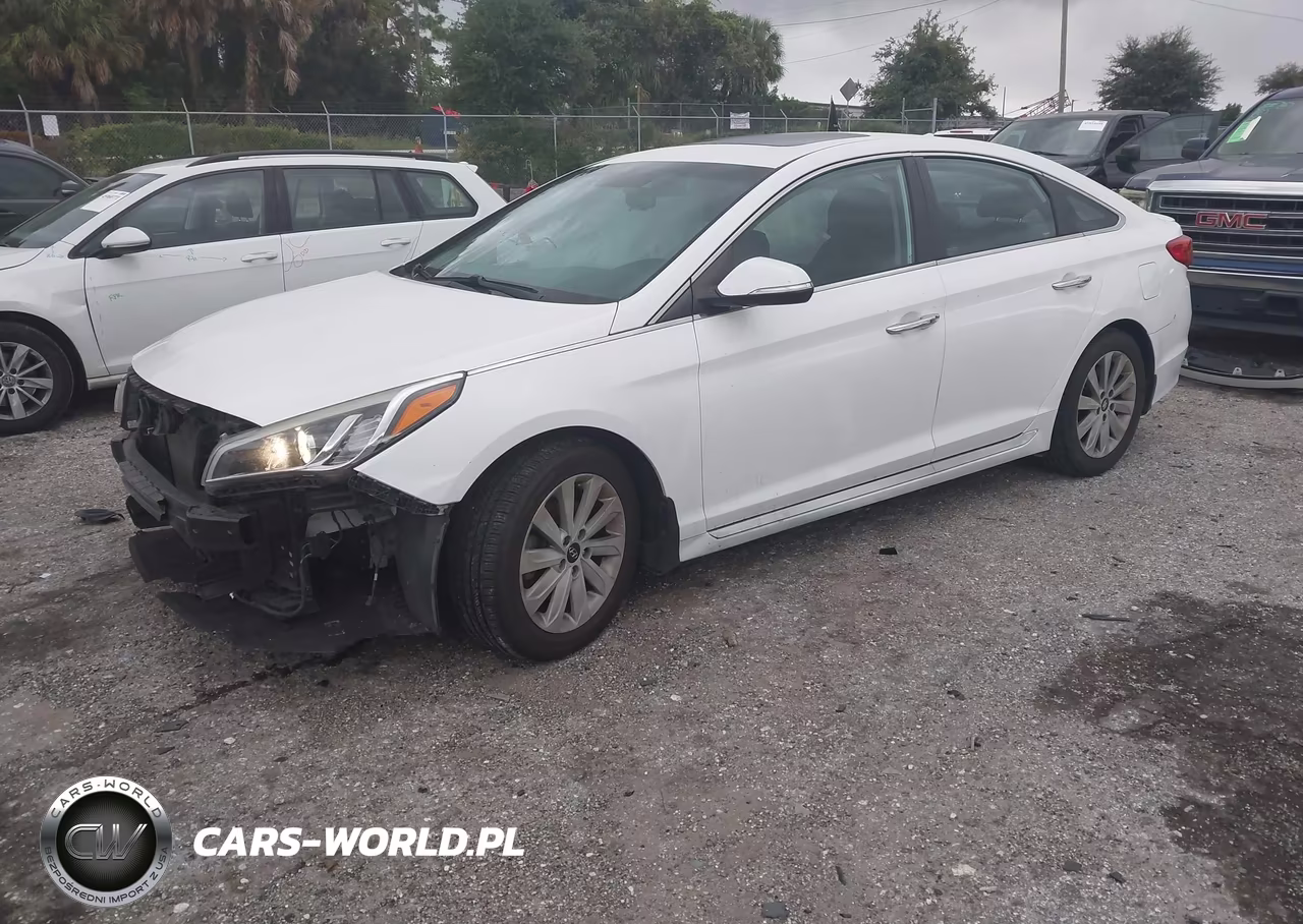 2017 Hyundai Sonata Sport VIN:5NPE34AF9HH506576 - 2