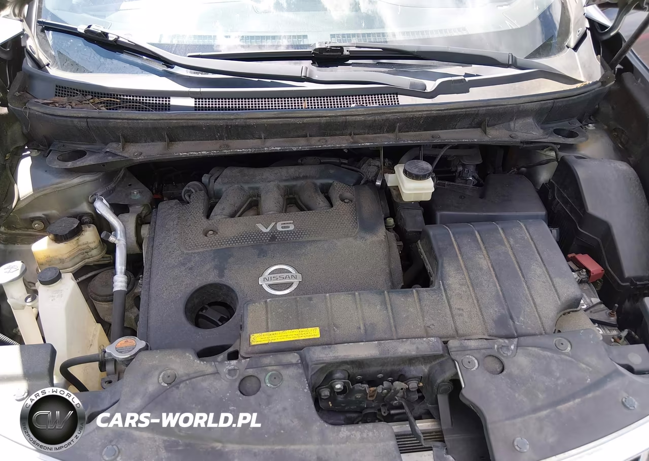 2013 Nissan Murano Sv VIN:JN8AZ1MW1DW316948 - 10