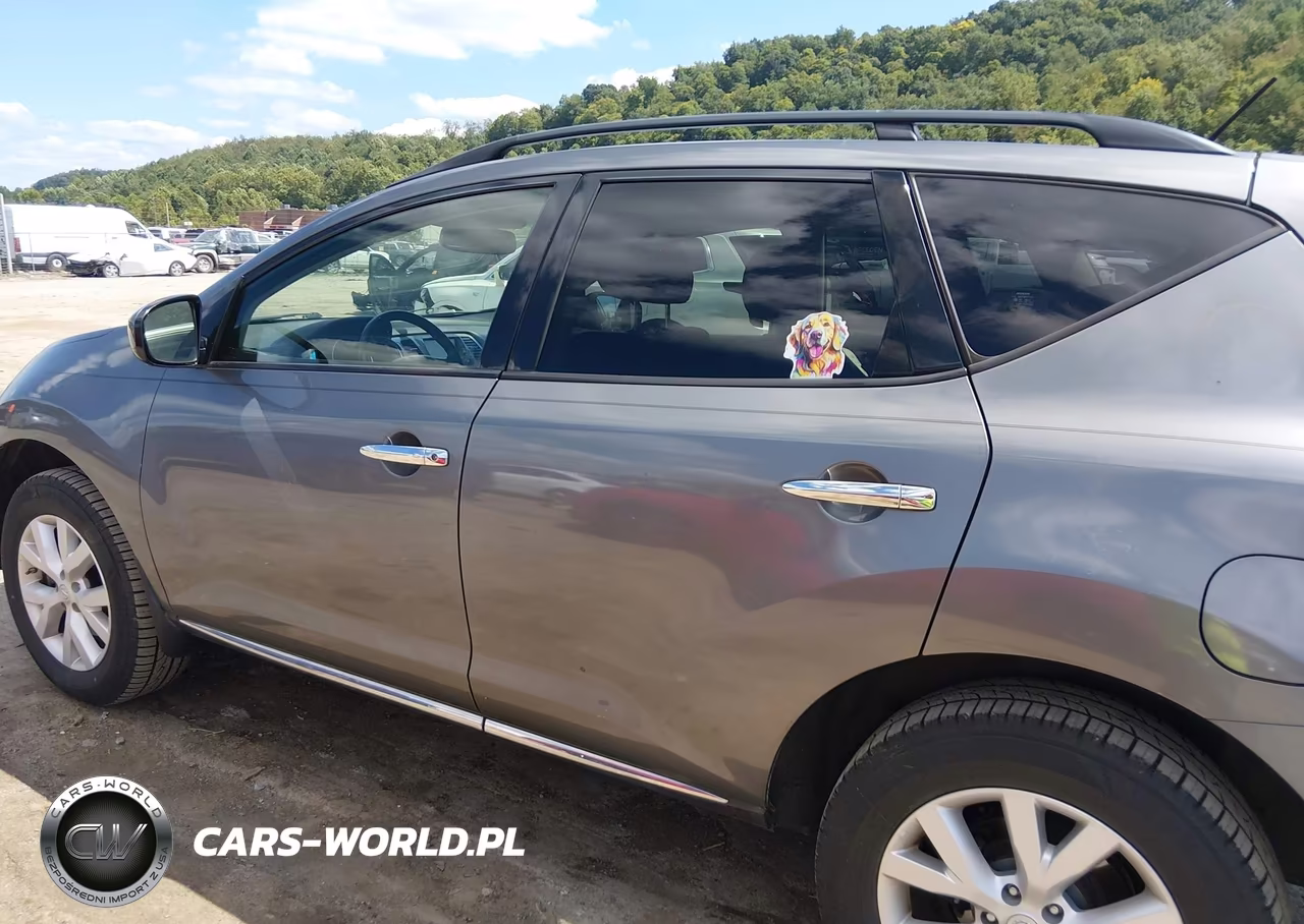 2013 Nissan Murano Sv VIN:JN8AZ1MW1DW316948 - 14