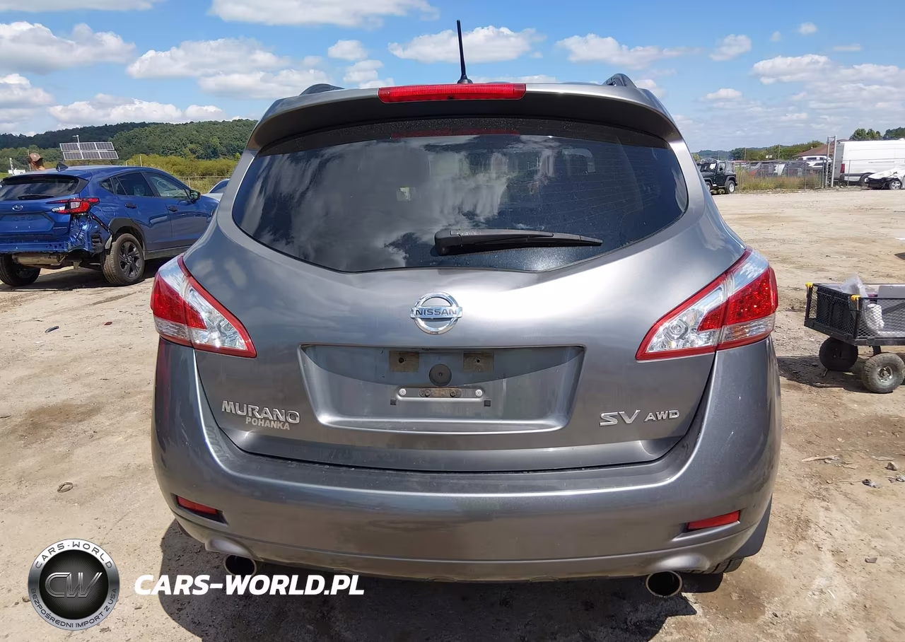 2013 Nissan Murano Sv VIN:JN8AZ1MW1DW316948 - 16