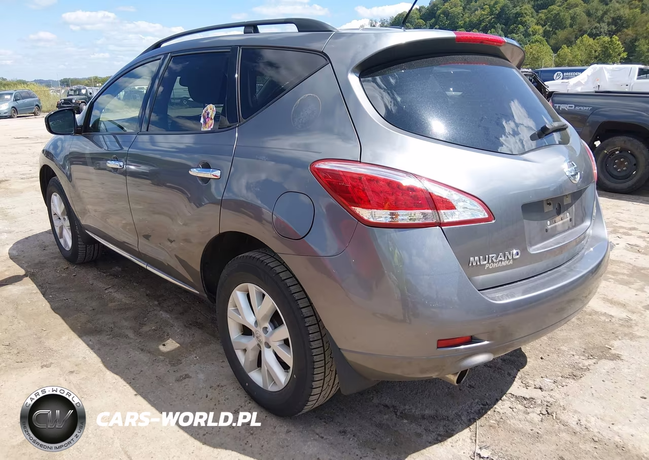 2013 Nissan Murano Sv VIN:JN8AZ1MW1DW316948 - 3