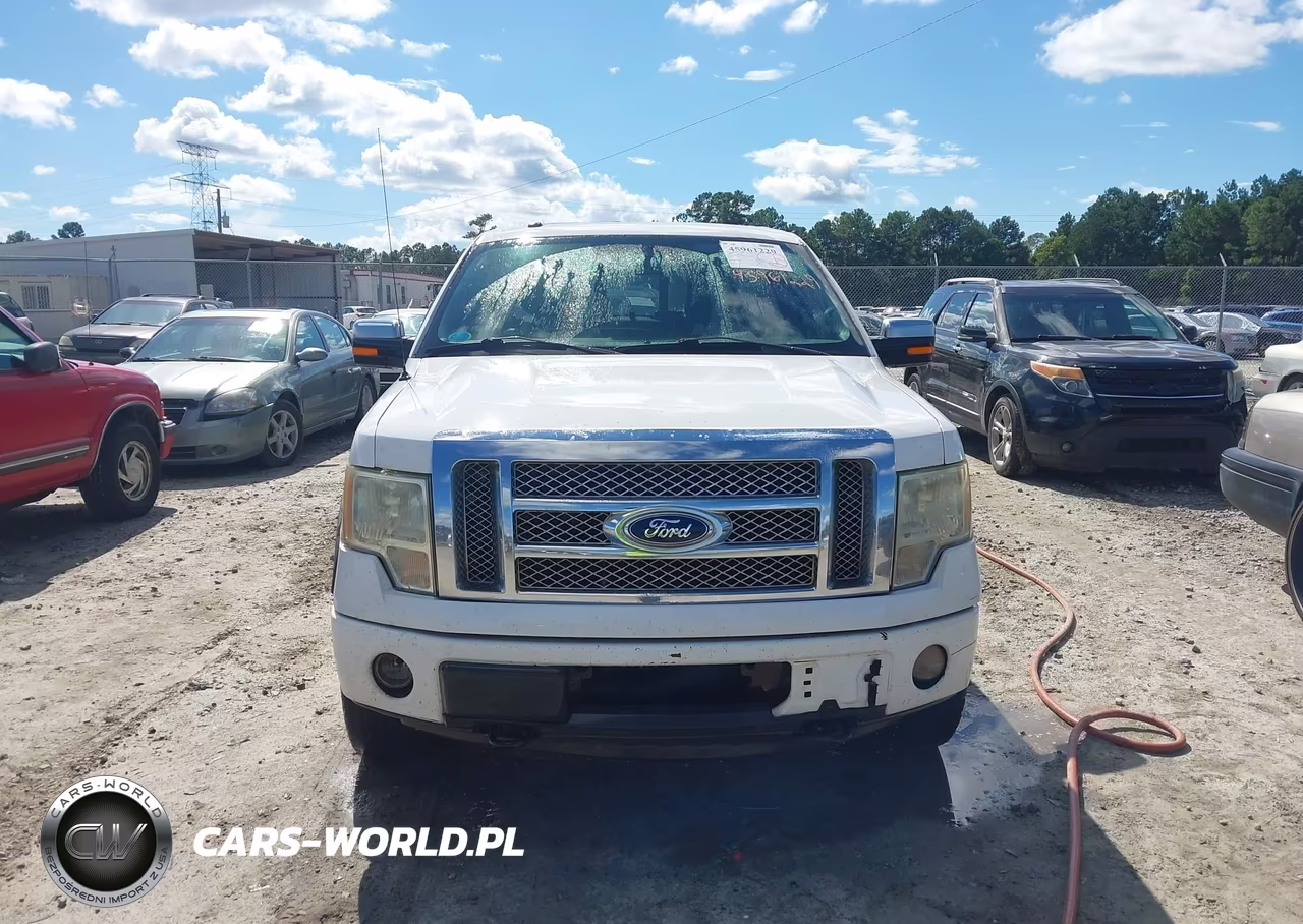 2010 Ford F-150 Fx4-Harley-Davidson-King Ranch-Lariat-Platinum-Xl-Xlt VIN:1FTFW1EVXAFC88109 - 12