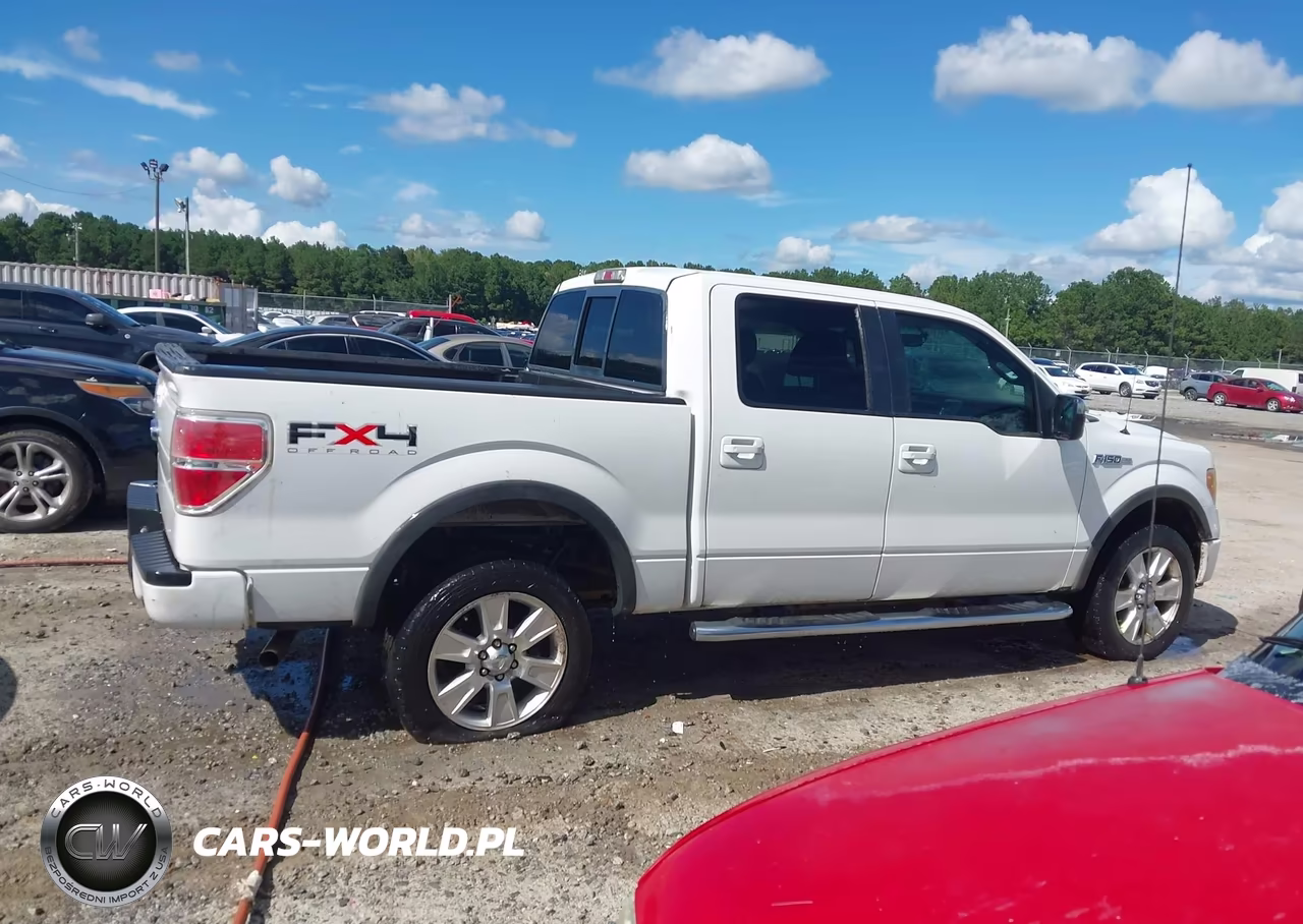 2010 Ford F-150 Fx4-Harley-Davidson-King Ranch-Lariat-Platinum-Xl-Xlt VIN:1FTFW1EVXAFC88109 - 13