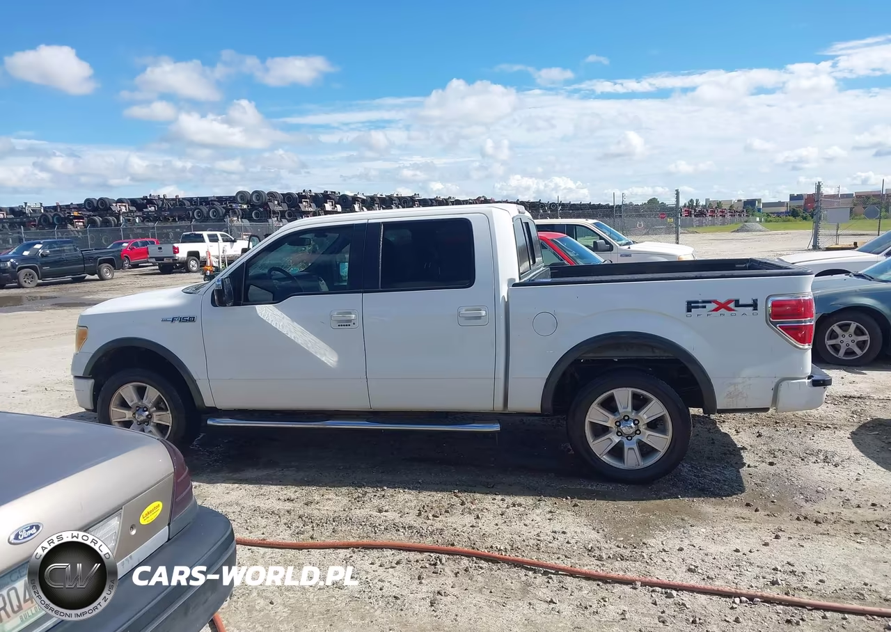 2010 Ford F-150 Fx4-Harley-Davidson-King Ranch-Lariat-Platinum-Xl-Xlt VIN:1FTFW1EVXAFC88109 - 14