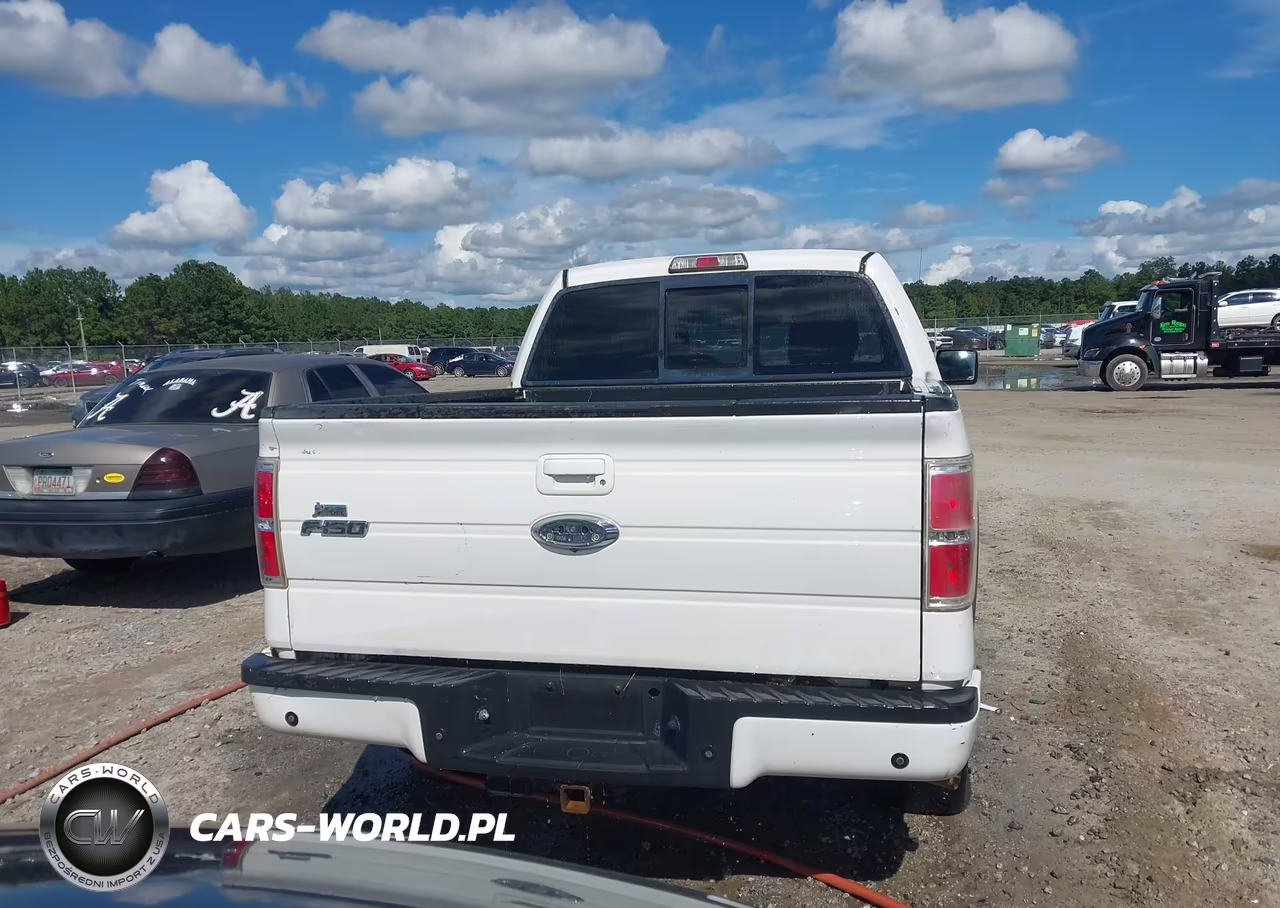 2010 Ford F-150 Fx4-Harley-Davidson-King Ranch-Lariat-Platinum-Xl-Xlt VIN:1FTFW1EVXAFC88109 - 16